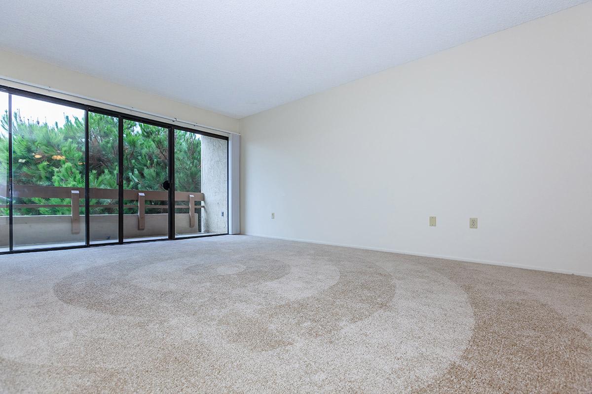 Carpeted living room with sliding glass doors