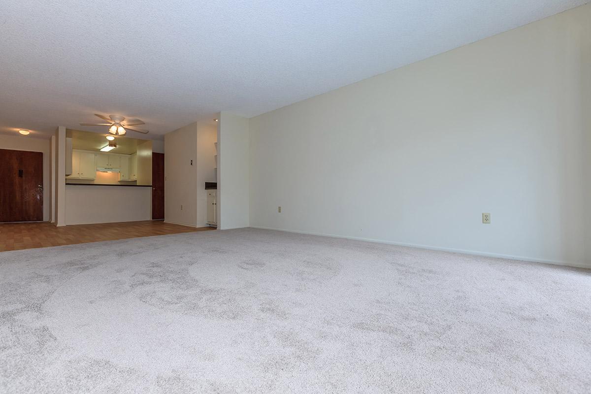 Carpeted living room