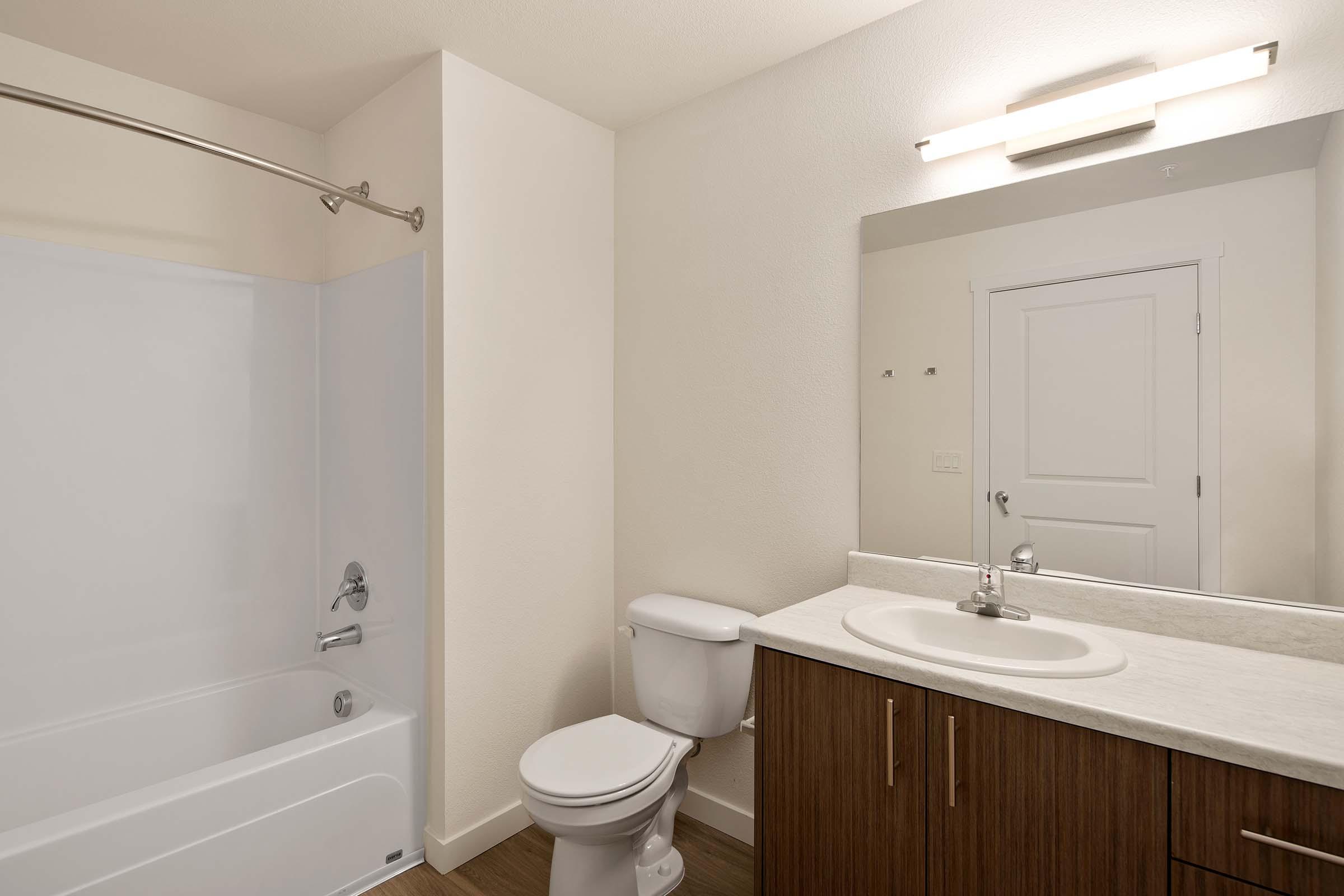 a shower that has a sink and a mirror