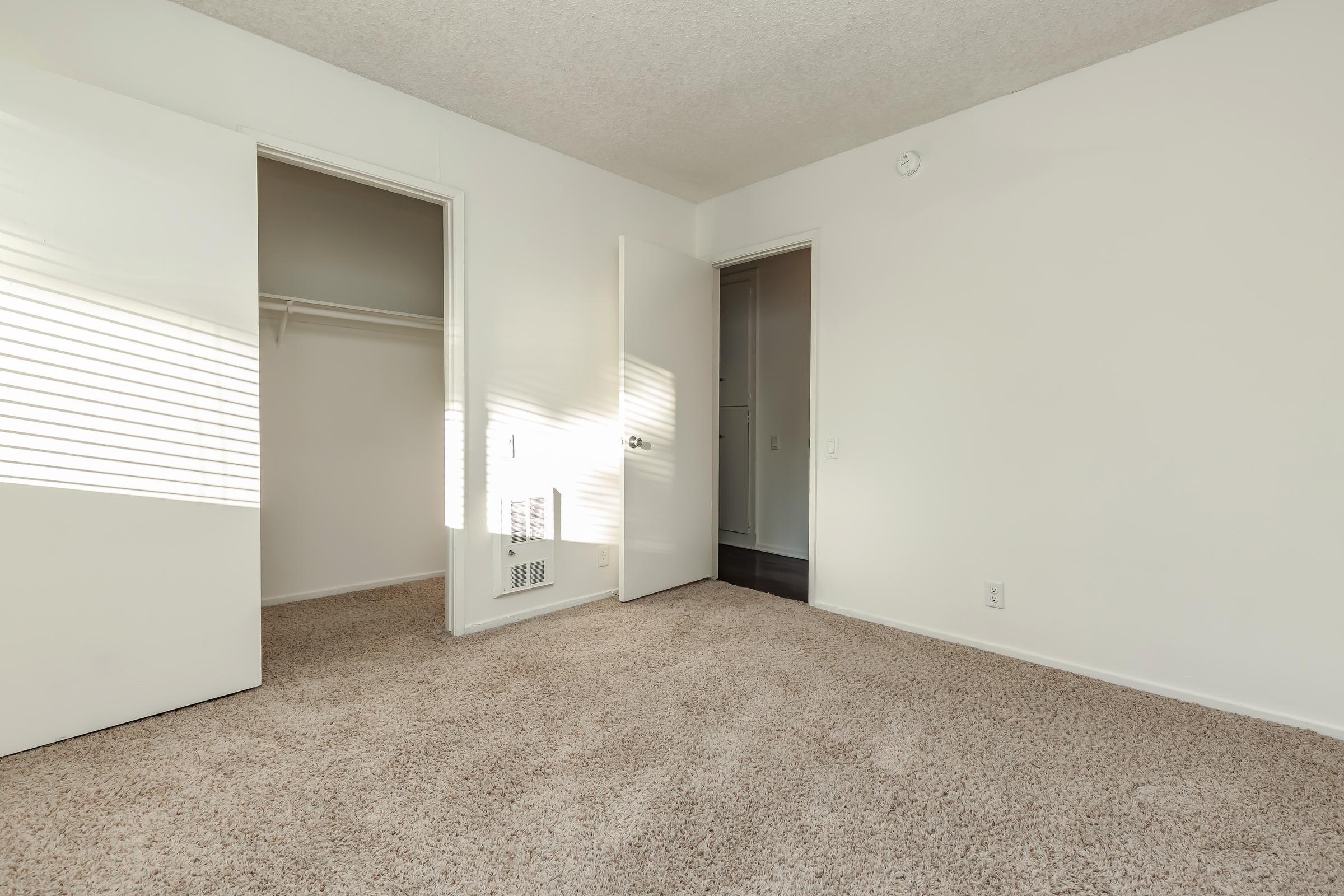 Carpeted bedroom with open walk-in closet door