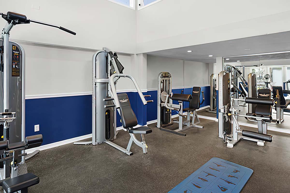 A gym interior featuring several strength training machines and fitness equipment. The walls are painted in a light color with blue accents. There is a padded mat on the floor, and mirrors are visible in the background, reflecting the equipment. Natural light comes from large windows above.