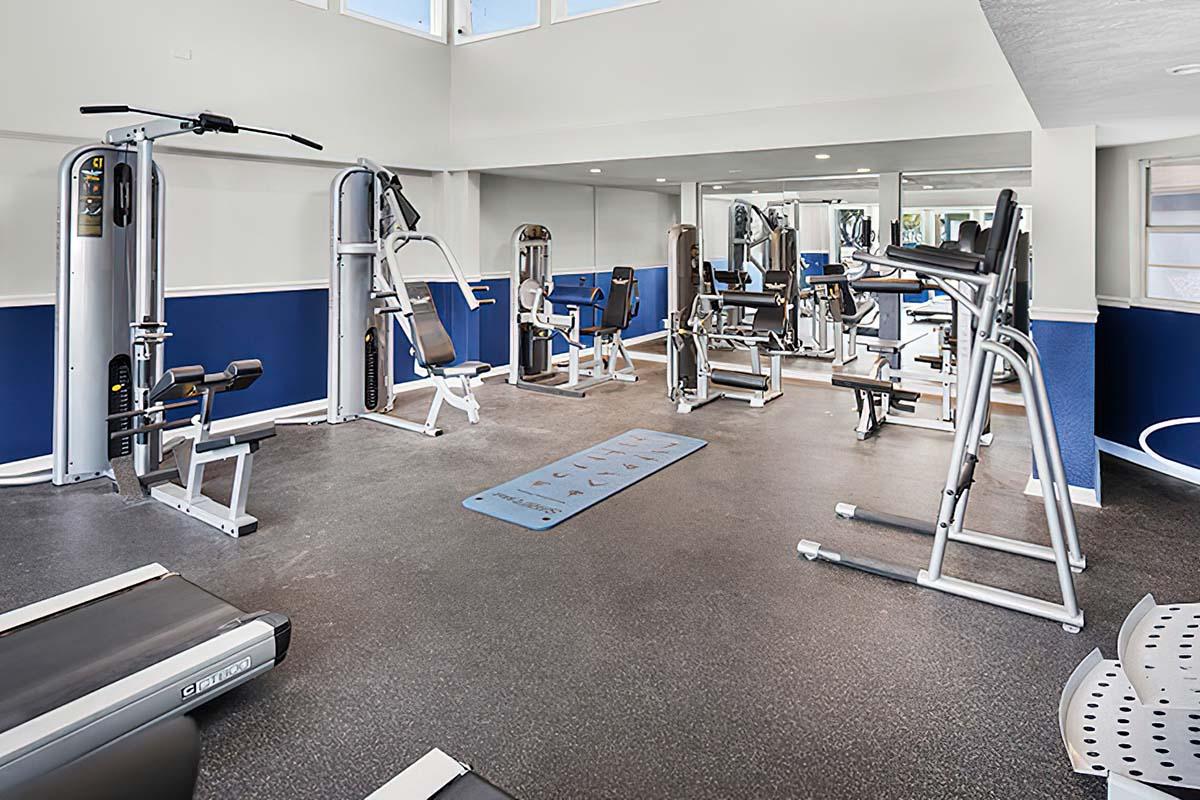 A modern gym interior featuring various exercise equipment, including weight machines, a treadmill, and a blue exercise mat. The walls are painted in light colors with dark blue accents, and there are large windows allowing natural light to fill the space. The flooring is black rubber.
