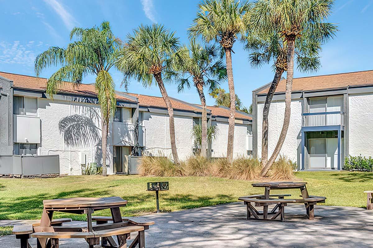 A sunny courtyard featuring palm trees and well-kept grass. There are picnic tables arranged in the foreground and apartment buildings in the background, set against a blue sky with scattered clouds.
