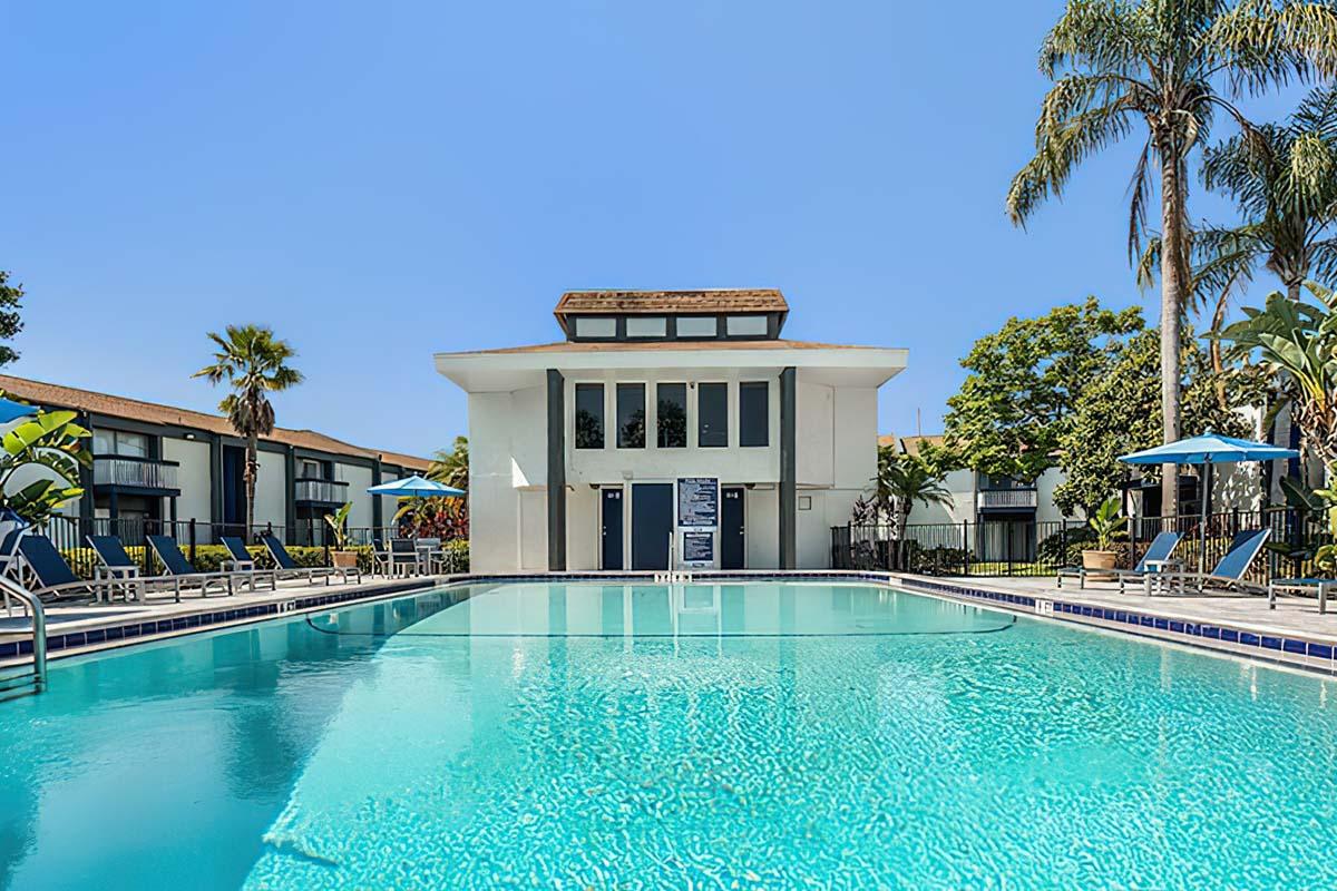 A clear blue swimming pool surrounded by lounge chairs and palm trees, with a modern building in the background. The sky is bright and sunny, enhancing the inviting atmosphere of the outdoor space.