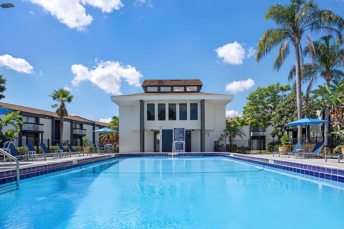 A serene outdoor swimming pool surrounded by palm trees and lounge chairs, with a modern building in the background under a bright blue sky dotted with clouds. Sunlight reflects off the water, creating a relaxing atmosphere.