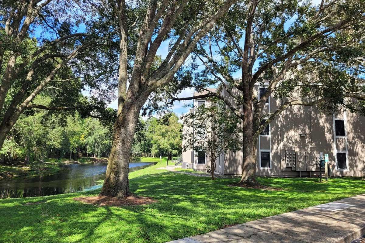 A peaceful outdoor scene with large trees providing shade, a grassy area, and a calm river flowing nearby. On one side, there is a modern building with large windows, surrounded by lush greenery under a bright blue sky dotted with clouds.