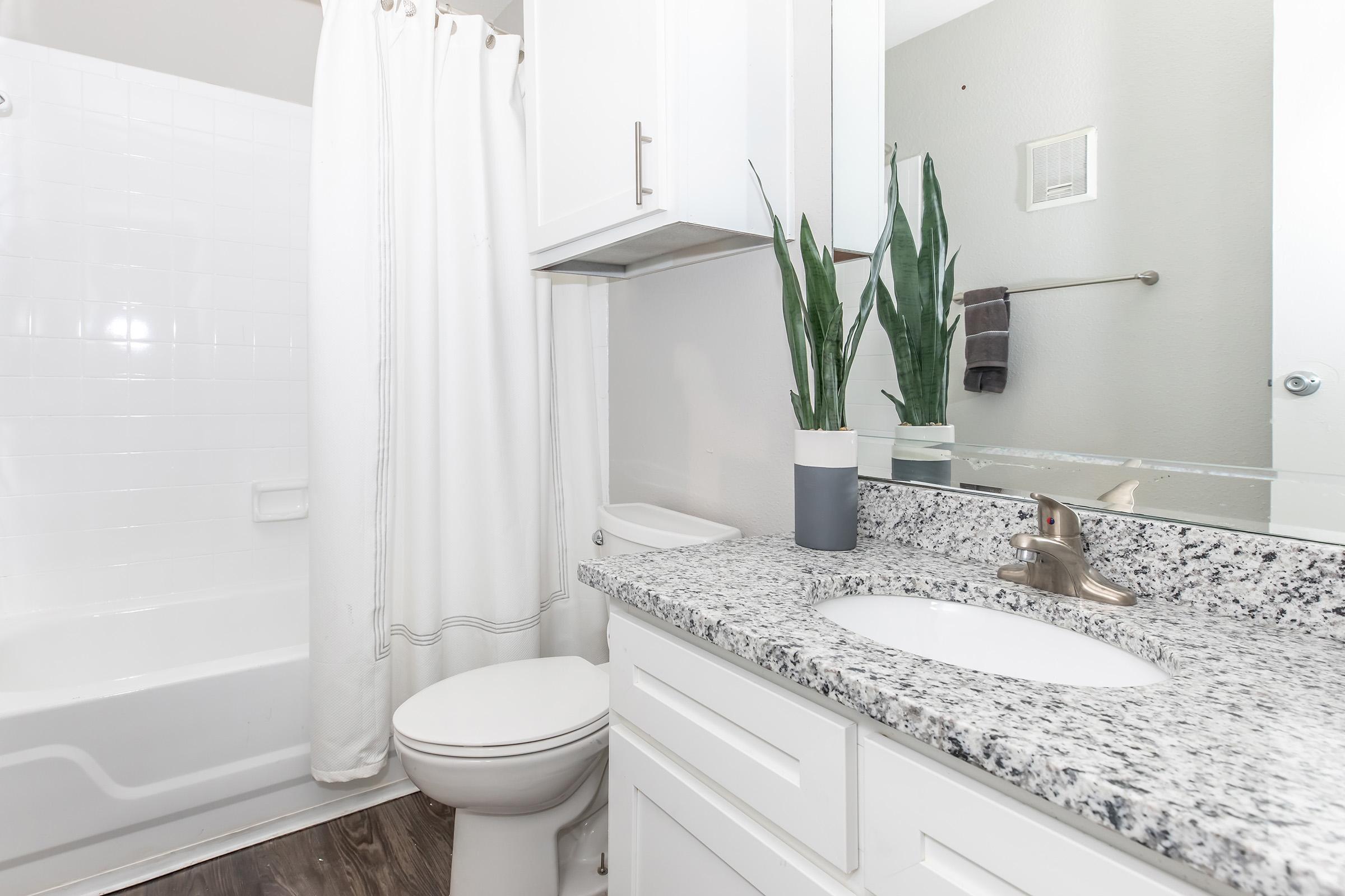 A clean and modern bathroom featuring a white bathtub with a shower curtain, a vanity with a granite countertop, a sink with a faucet, a potted plant for decor, and a towel holder on the wall. The walls are painted a light color, creating a bright and airy atmosphere.