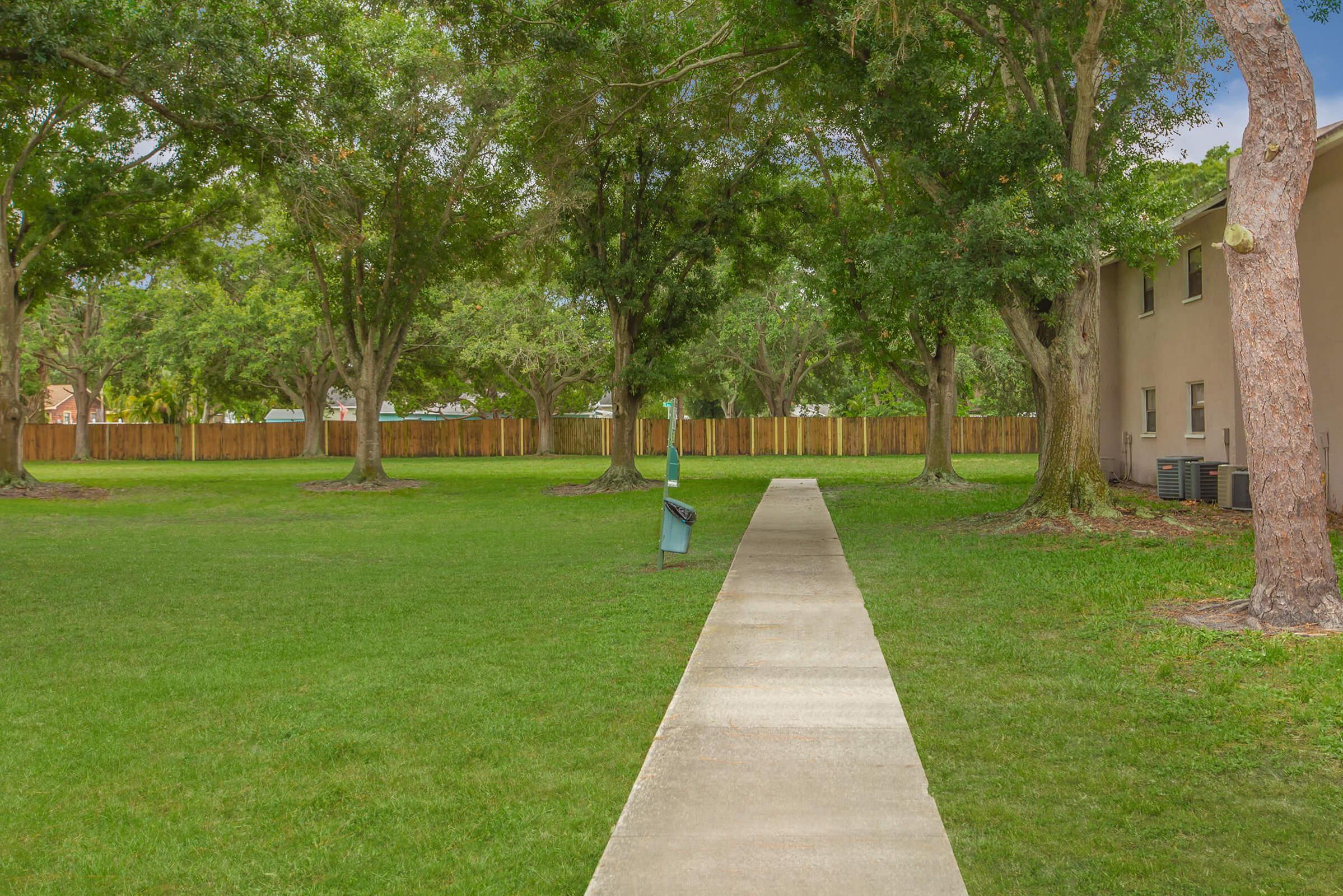 a large lawn in front of a tree