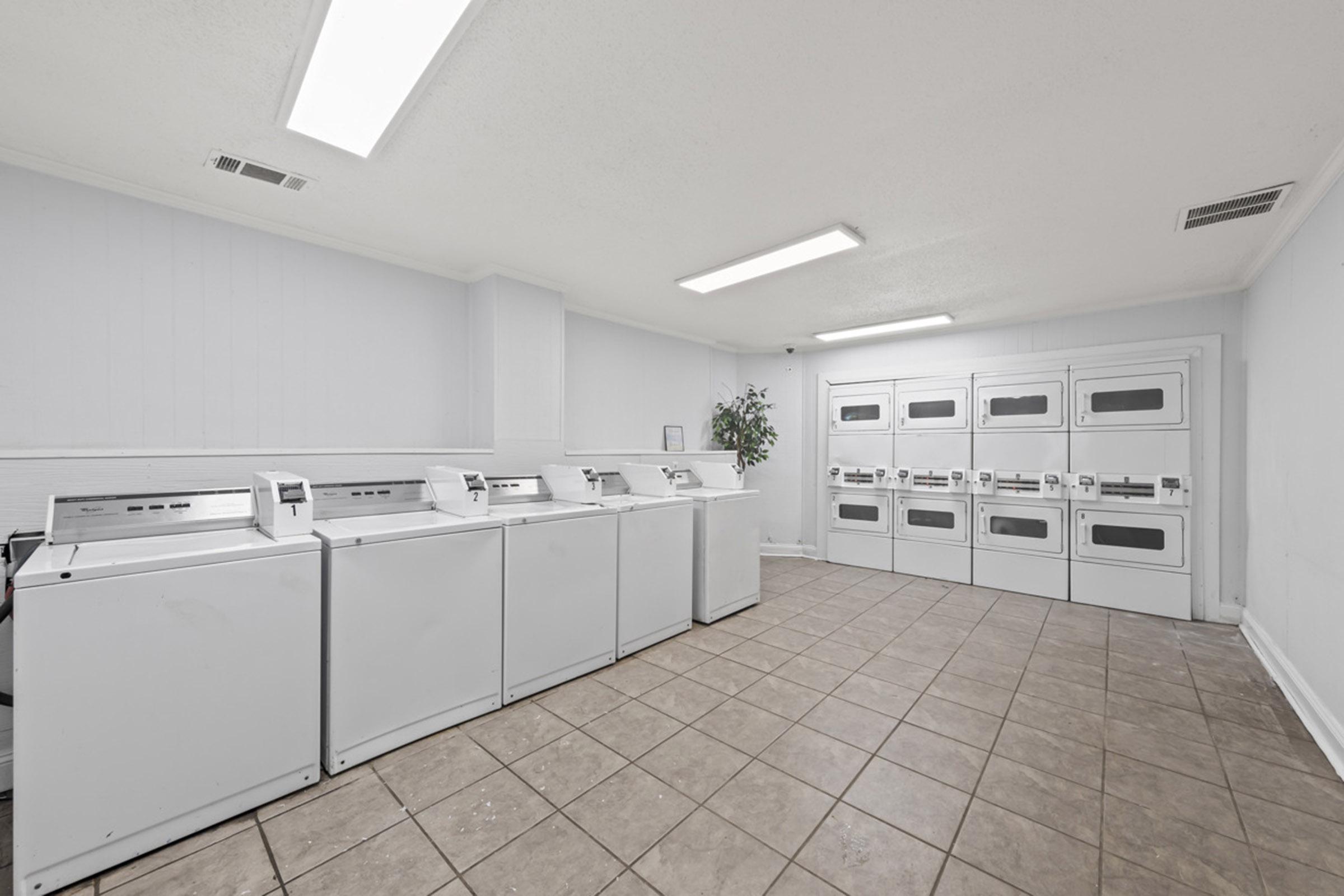 A clean and well-lit laundry room featuring several white washing machines lined up against one wall and multiple dryers against the opposite wall. The floor is tiled, and there is a small potted plant adding a touch of color to the otherwise neutral space.