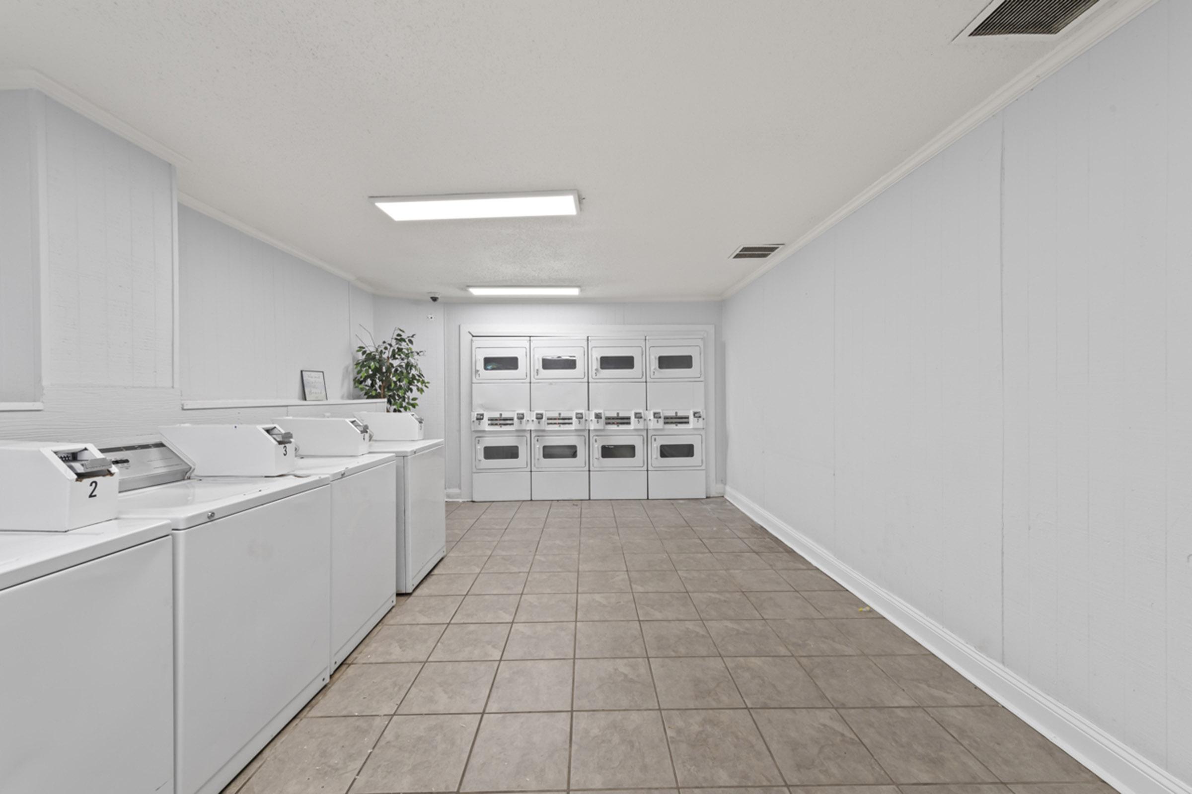 A clean, well-lit laundry room featuring white washing machines with numbered labels, large dryers lined up against the wall, and beige tiled flooring. The walls are painted white, and a small decorative plant adds a touch of greenery to the space.