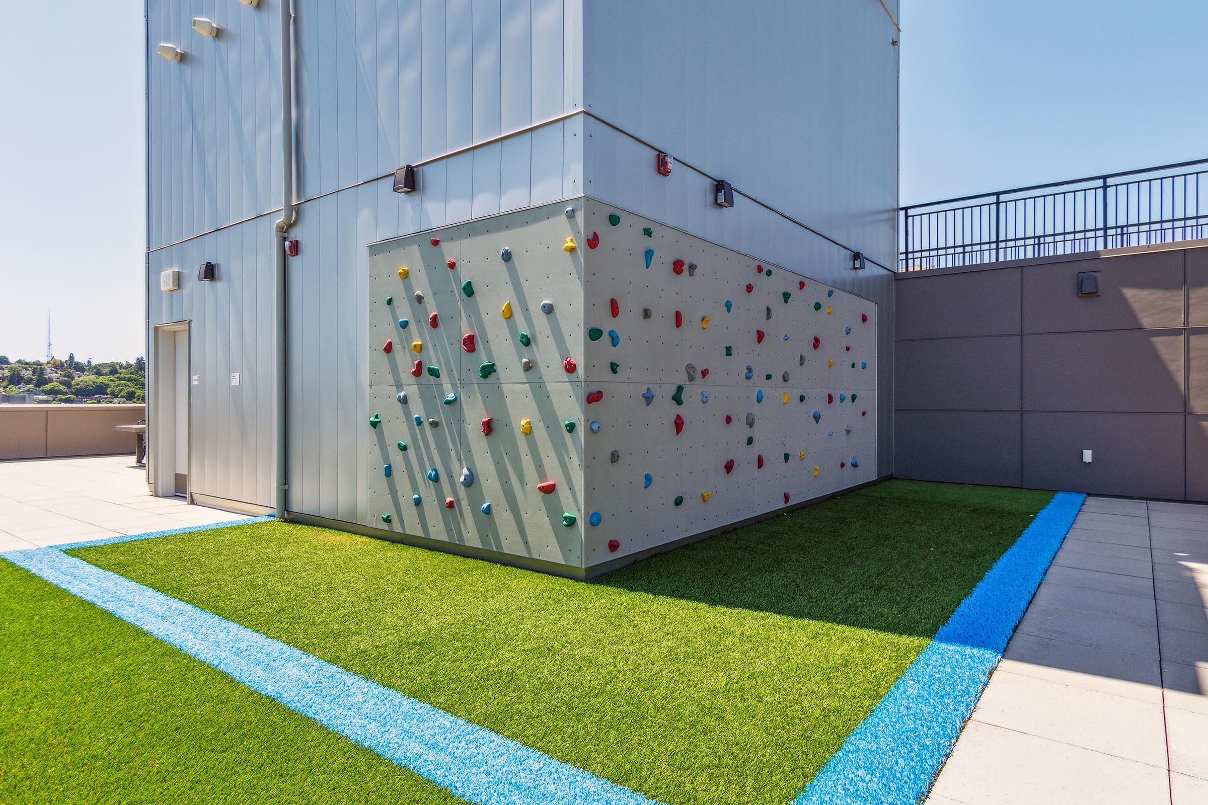 Climbing wall with colorful holds on a rooftop, surrounded by artificial grass and blue border. The structure is adjacent to a modern building with a clear sky in the background.