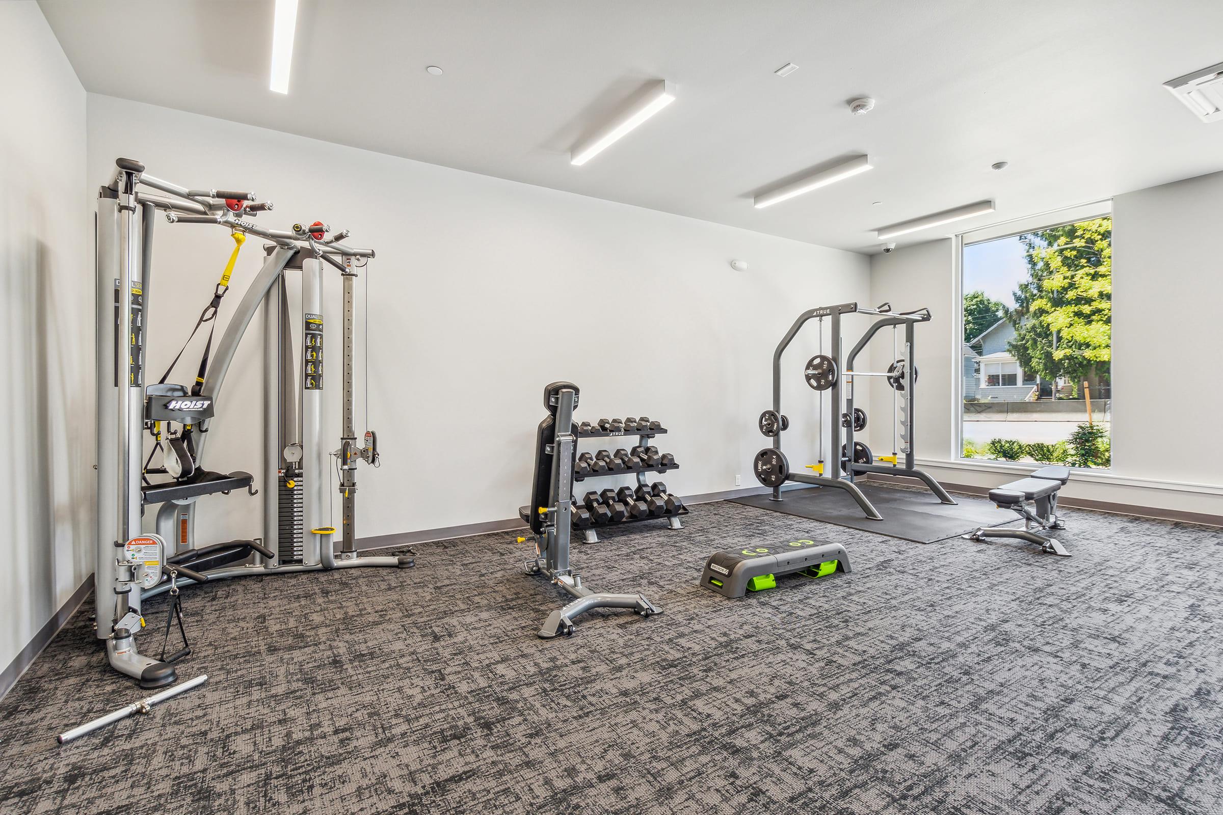 A modern gym interior featuring various workout equipment: a cable machine, free weights on a rack, a multi-functional weight bench, and a step platform, all arranged on a gray carpeted floor with ample natural light coming through large windows.