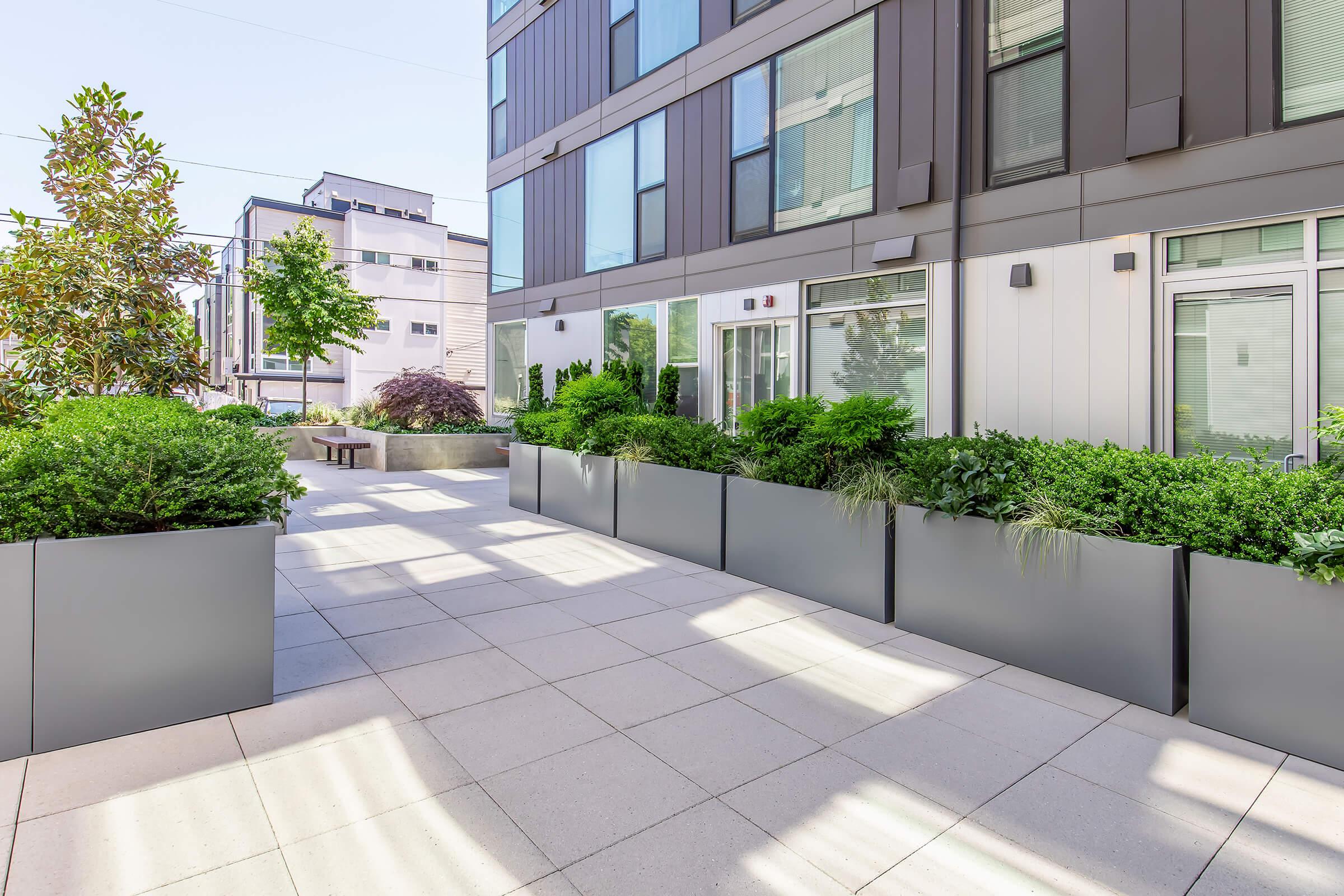 A modern outdoor space featuring concrete pavers and large planters filled with lush greenery. The area includes tall bushes and decorative plants, with a view of contemporary buildings in the background. Bright sunlight enhances the clean lines and inviting atmosphere.