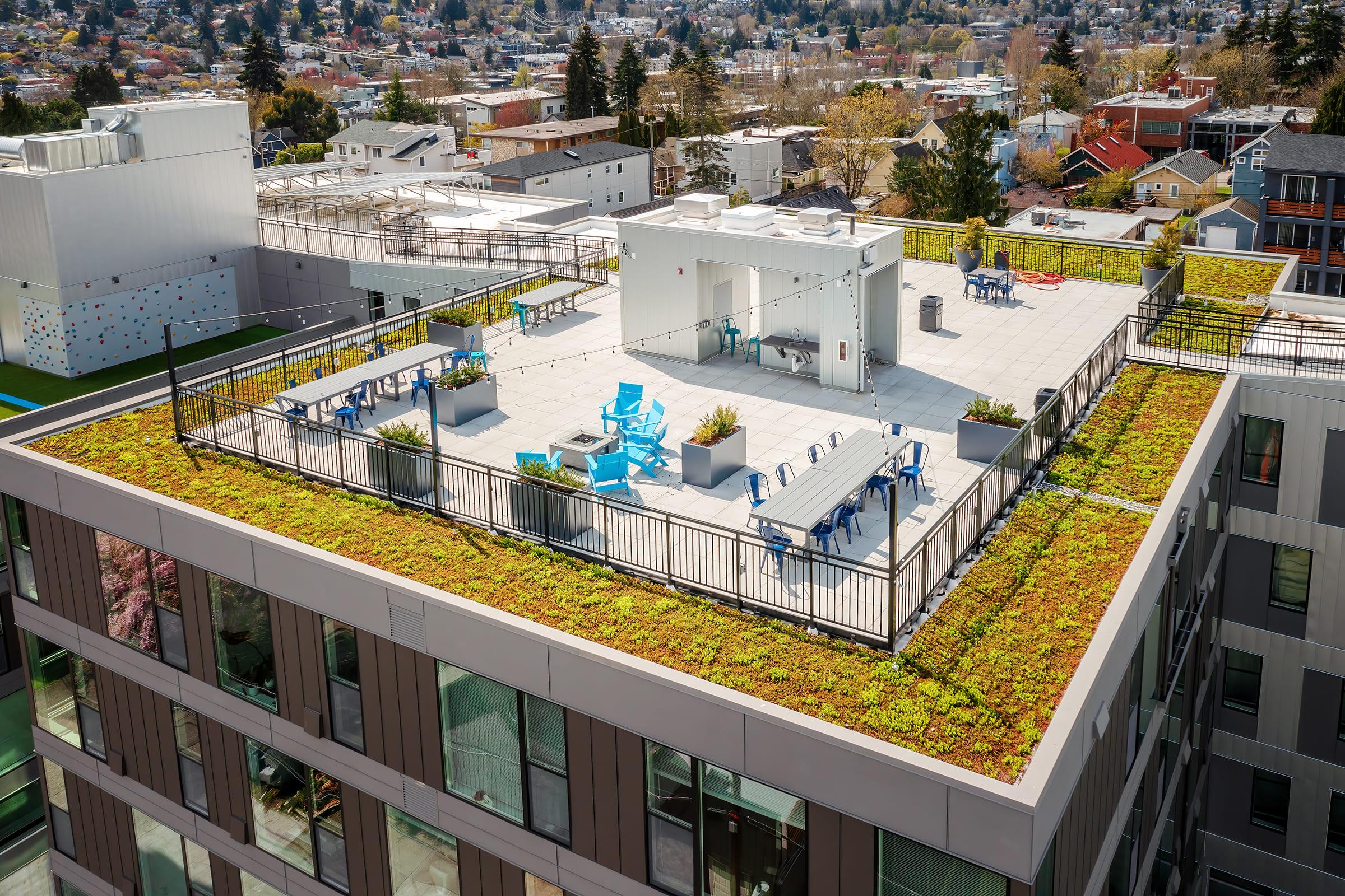 A rooftop patio featuring greenery along the edges, blue lounge chairs, and picnic tables. The area is surrounded by a black railing and overlooks a neighborhood with trees and buildings in the background. The scene is bright and sunny, showcasing a modern urban setting.