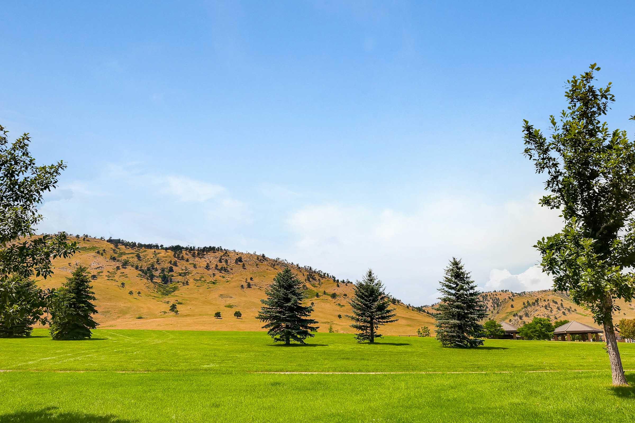 A spacious green field with a few tall conifer trees in the foreground. Rolling hills covered in dry grass stretch into the distance under a clear blue sky. A small building is partially visible near the edge of the field, creating a calm and serene natural landscape.