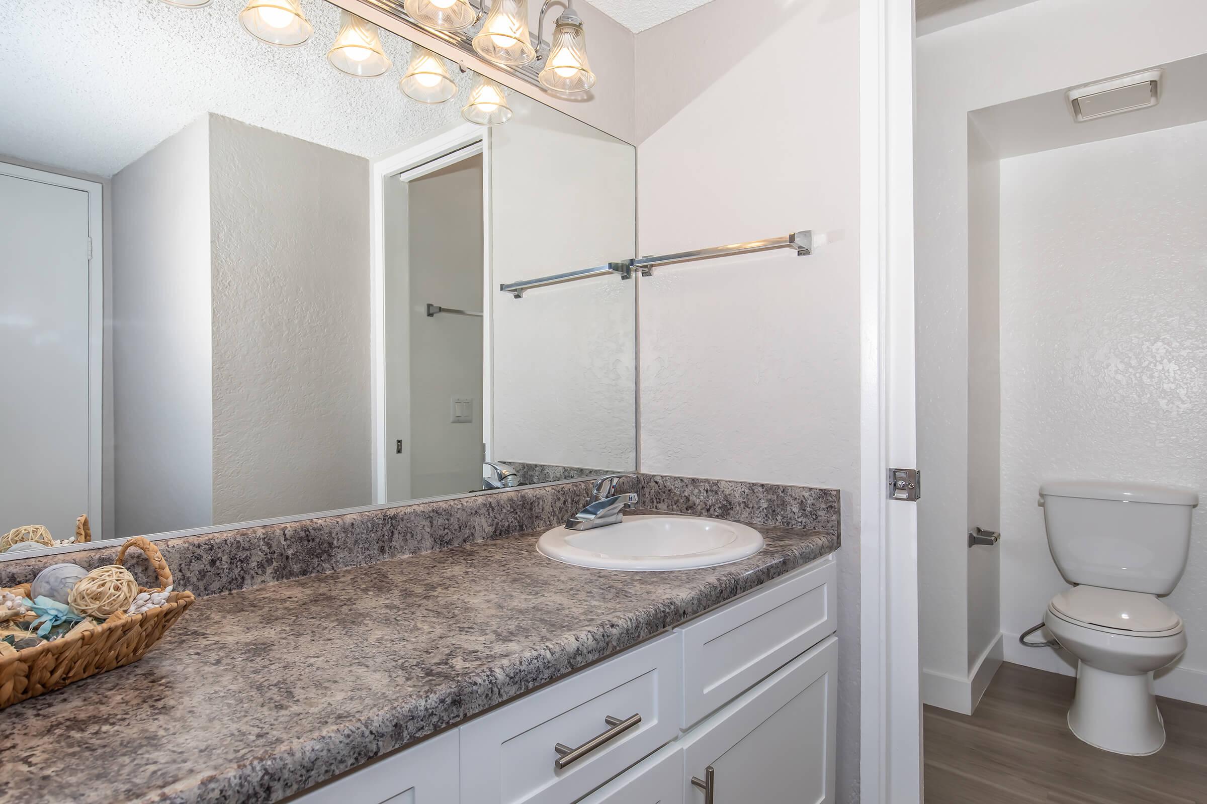 Pet-Friendly Apartments in Riverside, CA - Sycamore Canyons - Bathroom with a Large Sink Vanity, a Water Closet, and Stand-In Shower