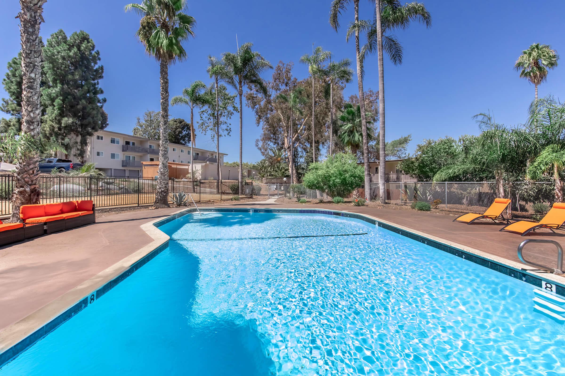A clear blue swimming pool surrounded by palm trees and lounge chairs. The scene includes a bright sunny sky, with a few buildings visible in the background. The pool area is well-maintained, creating a relaxed and inviting atmosphere for leisure and relaxation.