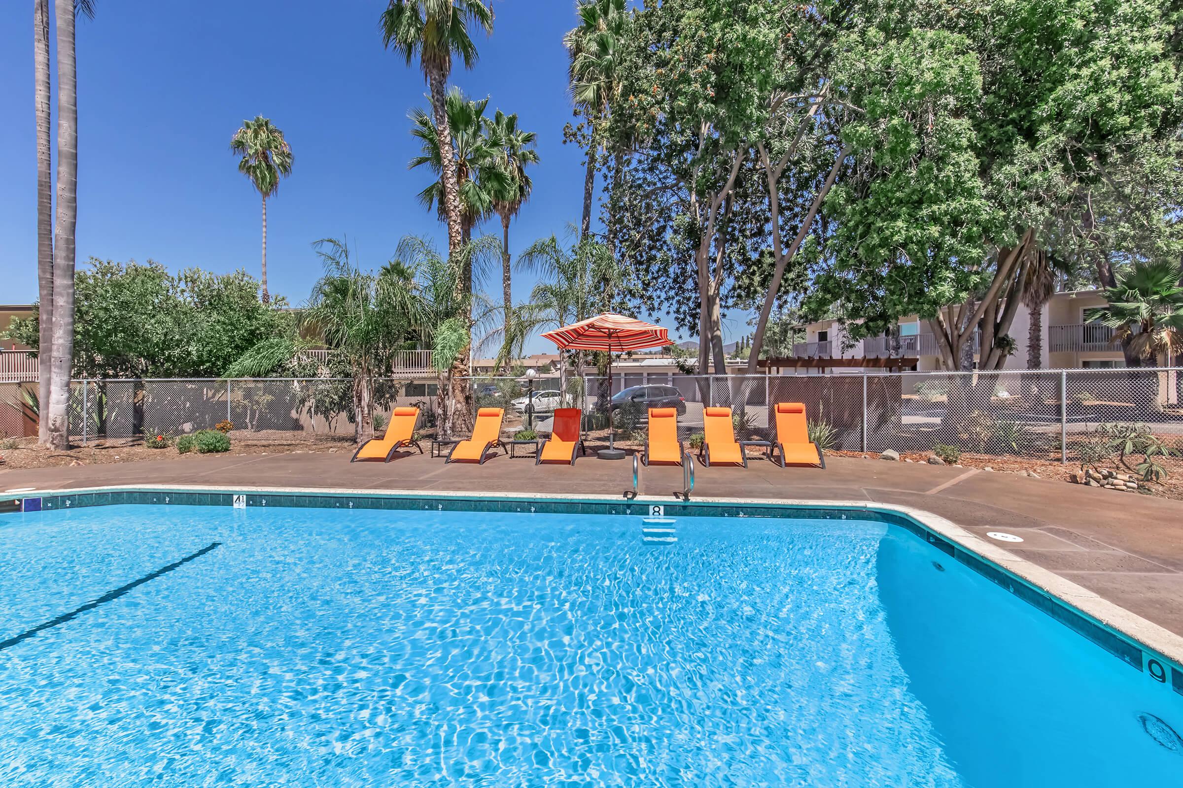 A bright outdoor swimming pool surrounded by palm trees and vibrant orange lounge chairs. An orange and white striped umbrella provides shade near the poolside. The clear blue water reflects the sunny sky, creating a relaxing atmosphere in a residential area.