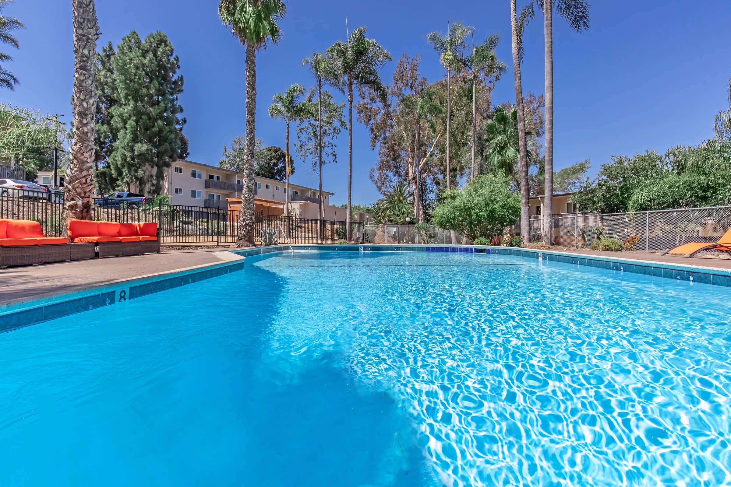 A clear blue swimming pool surrounded by palm trees and lush greenery. Residential buildings are visible in the background, and a deck area features lounge chairs. The sky is bright and sunny, creating a vibrant outdoor scene ideal for relaxation.