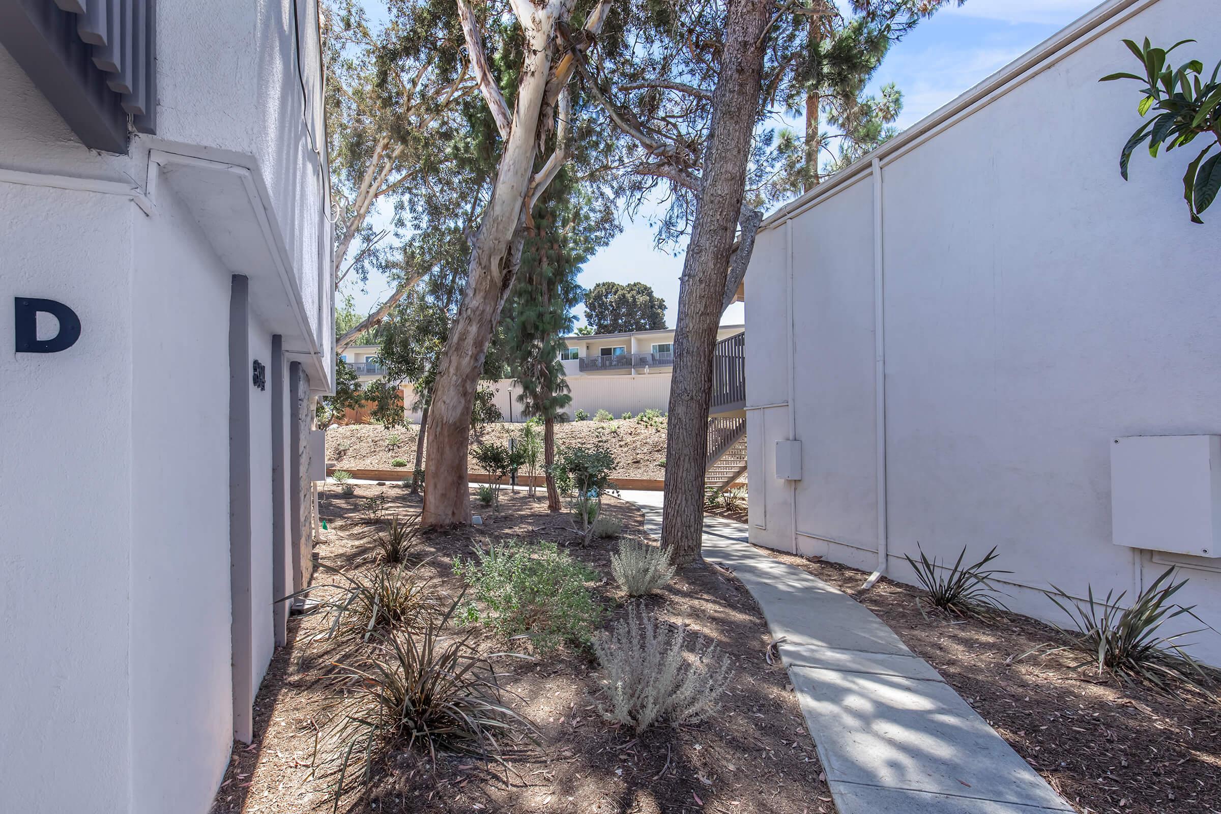 A narrow walkway between two white buildings, flanked by trees and shrubs. The path leads through a landscaped area with various plants, including small bushes and ground cover, creating a peaceful outdoor setting. Bright daylight illuminates the scene, enhancing the greenery.
