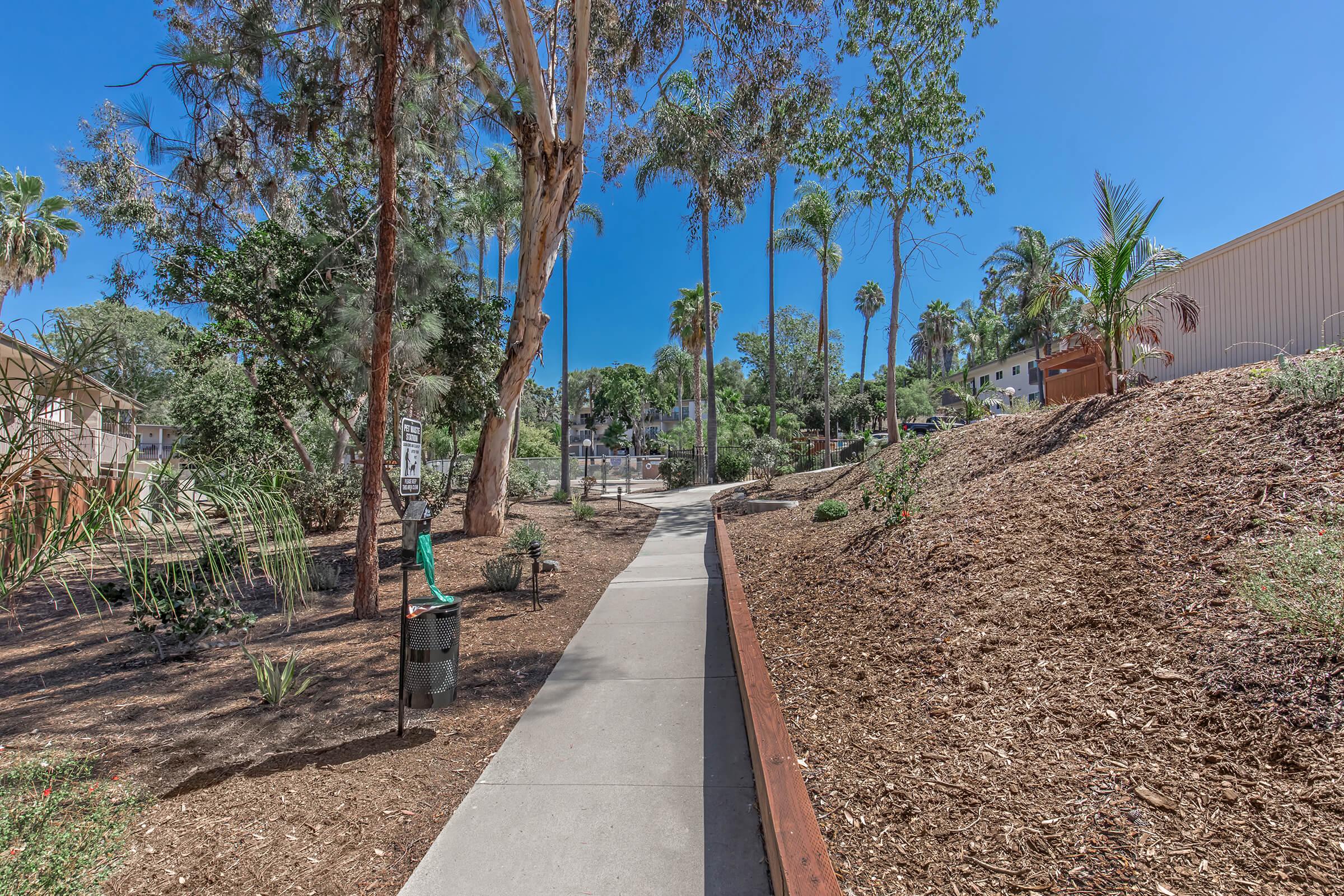 A paved pathway lined with trees and shrubs, leading through a landscaped area. The scene features tall palm trees and a background of greenery, with a clear blue sky above. A trash can is visible along the path, and there are buildings peeking through the foliage in the distance.