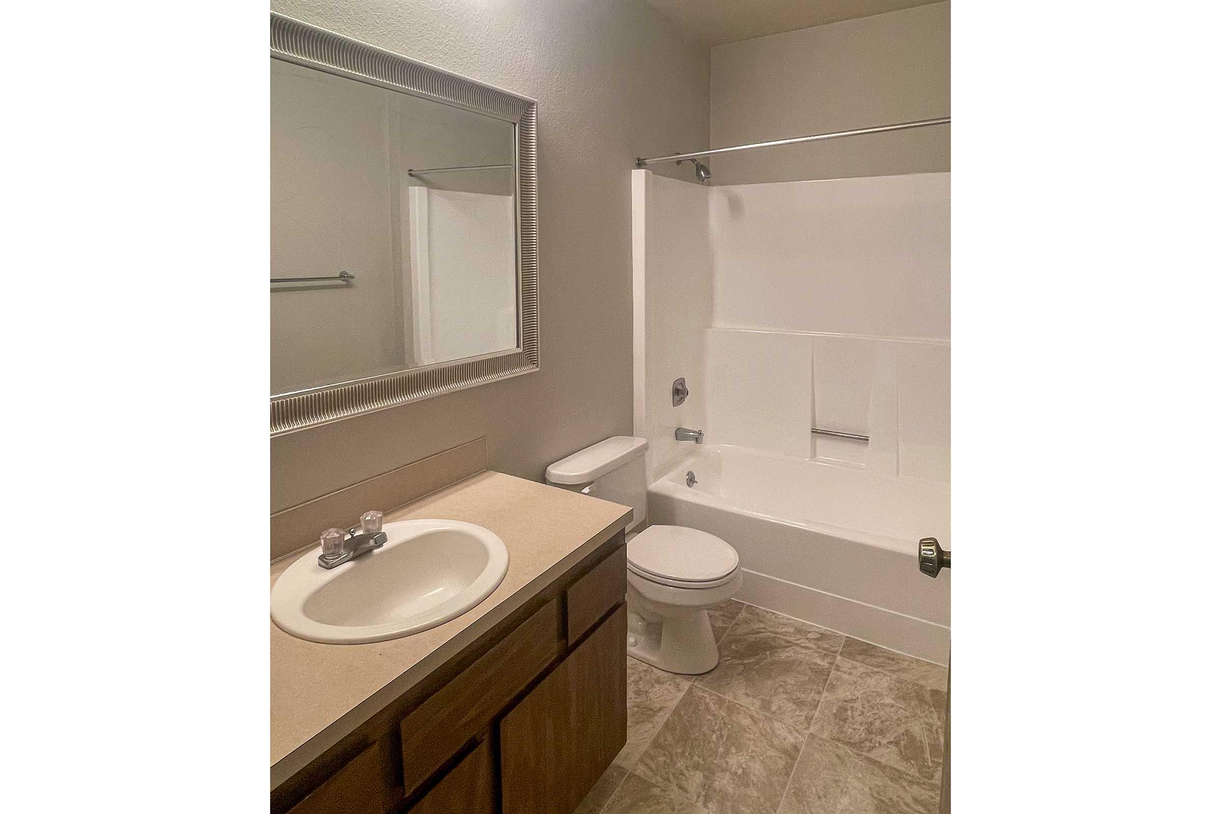 a shower that has a sink and a mirror