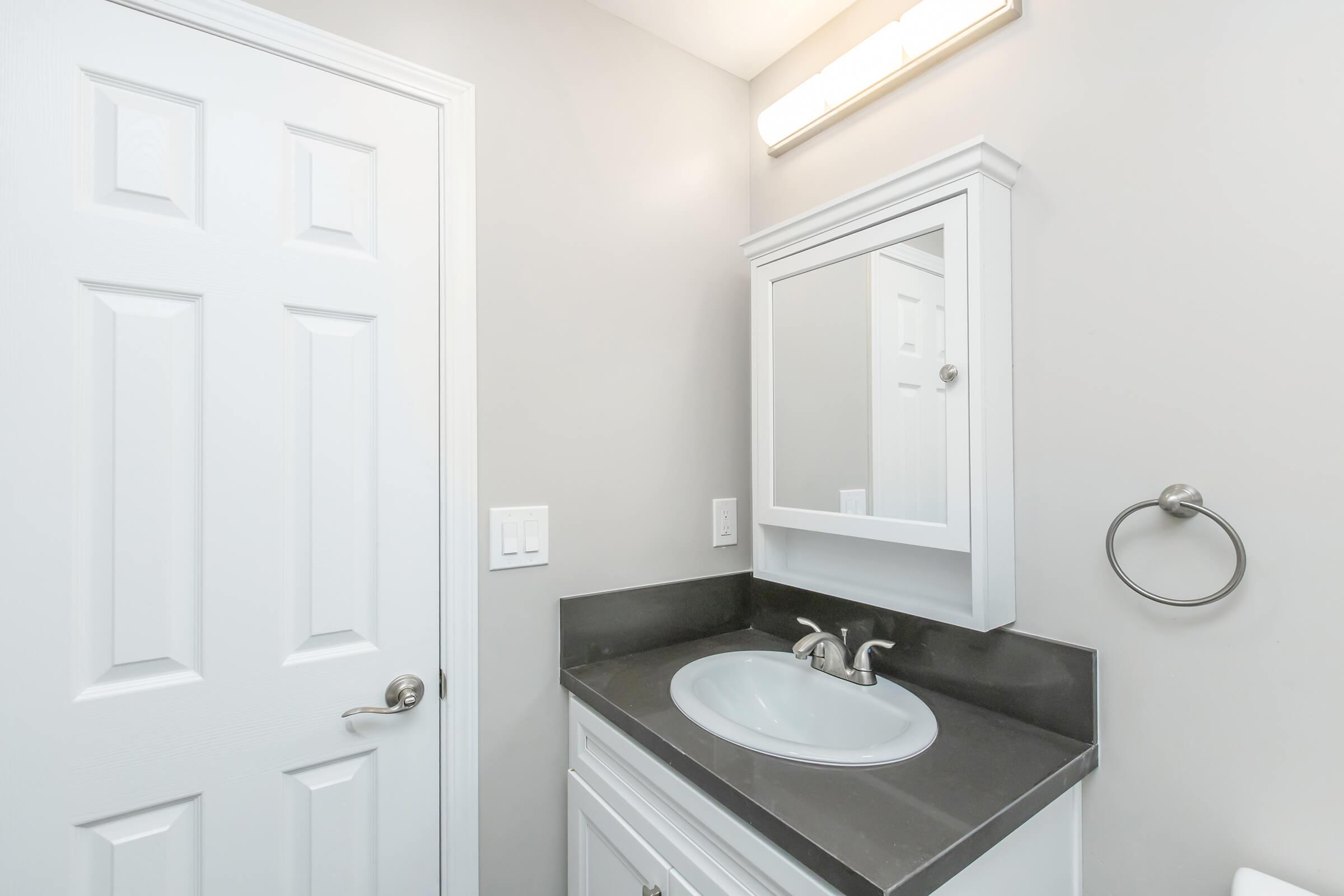A clean, modern bathroom featuring a white vanity with a round sink, a large mirror above, and a sleek black countertop. There’s a round towel holder, and the walls are painted in a light gray. A white door is visible, adding to the overall bright and airy feel of the space.