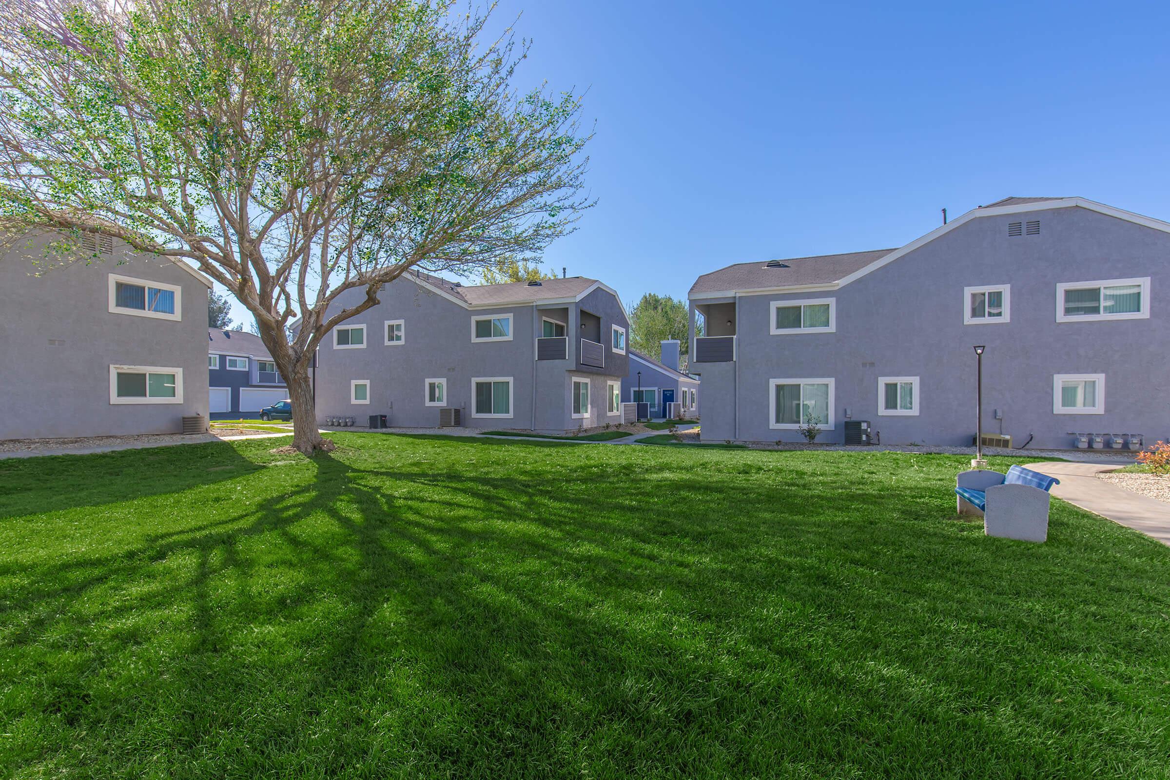 View of a grassy courtyard surrounded by modern two-story buildings with grey exteriors and large windows. A tree casts shadows on the lawn, creating an inviting outdoor space. Clear blue sky in the background.