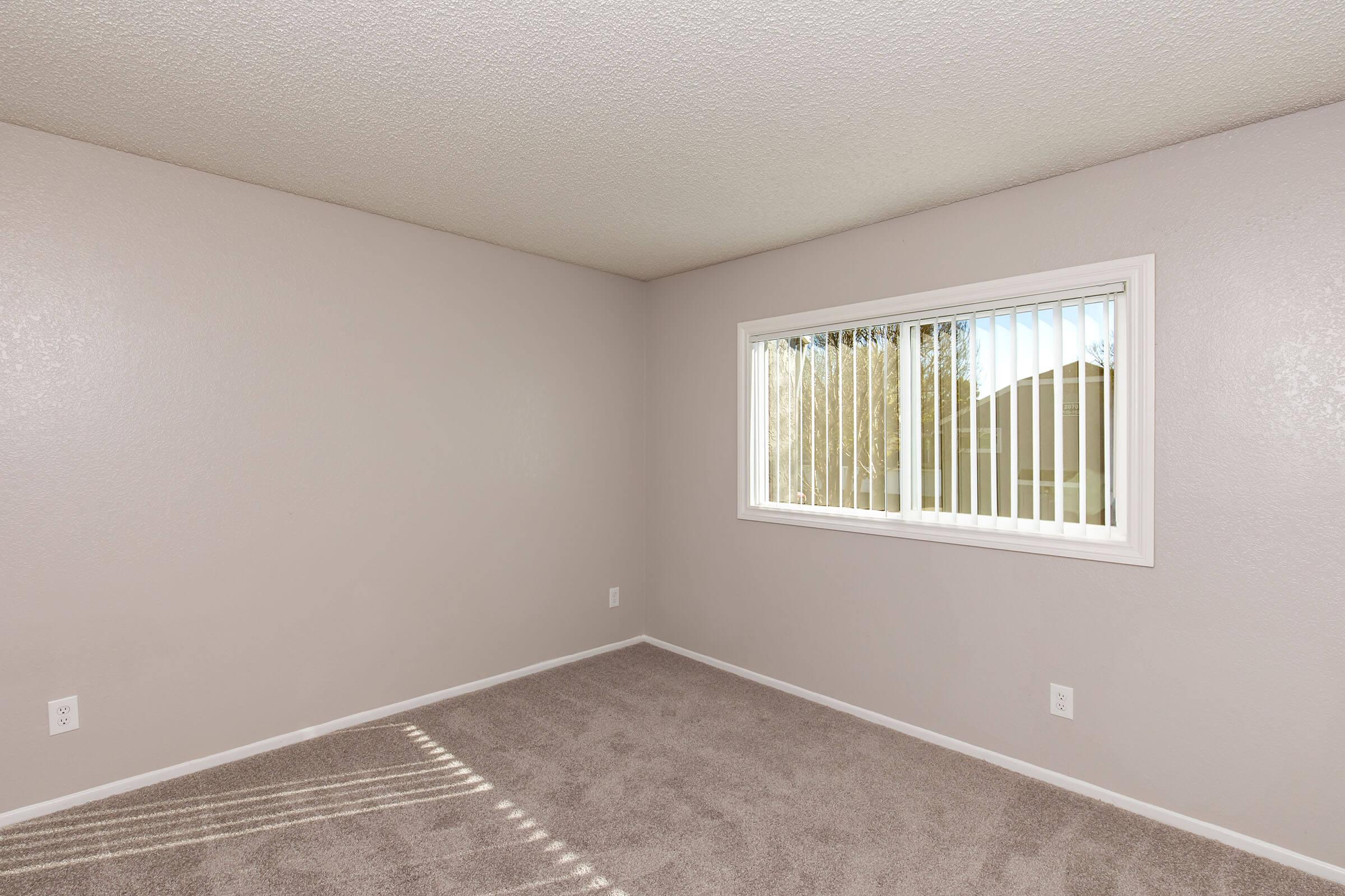Empty room with light gray walls and beige carpet. A window with vertical blinds allows natural light to enter. The room appears spacious and uncluttered, suitable for various uses such as a bedroom or office.