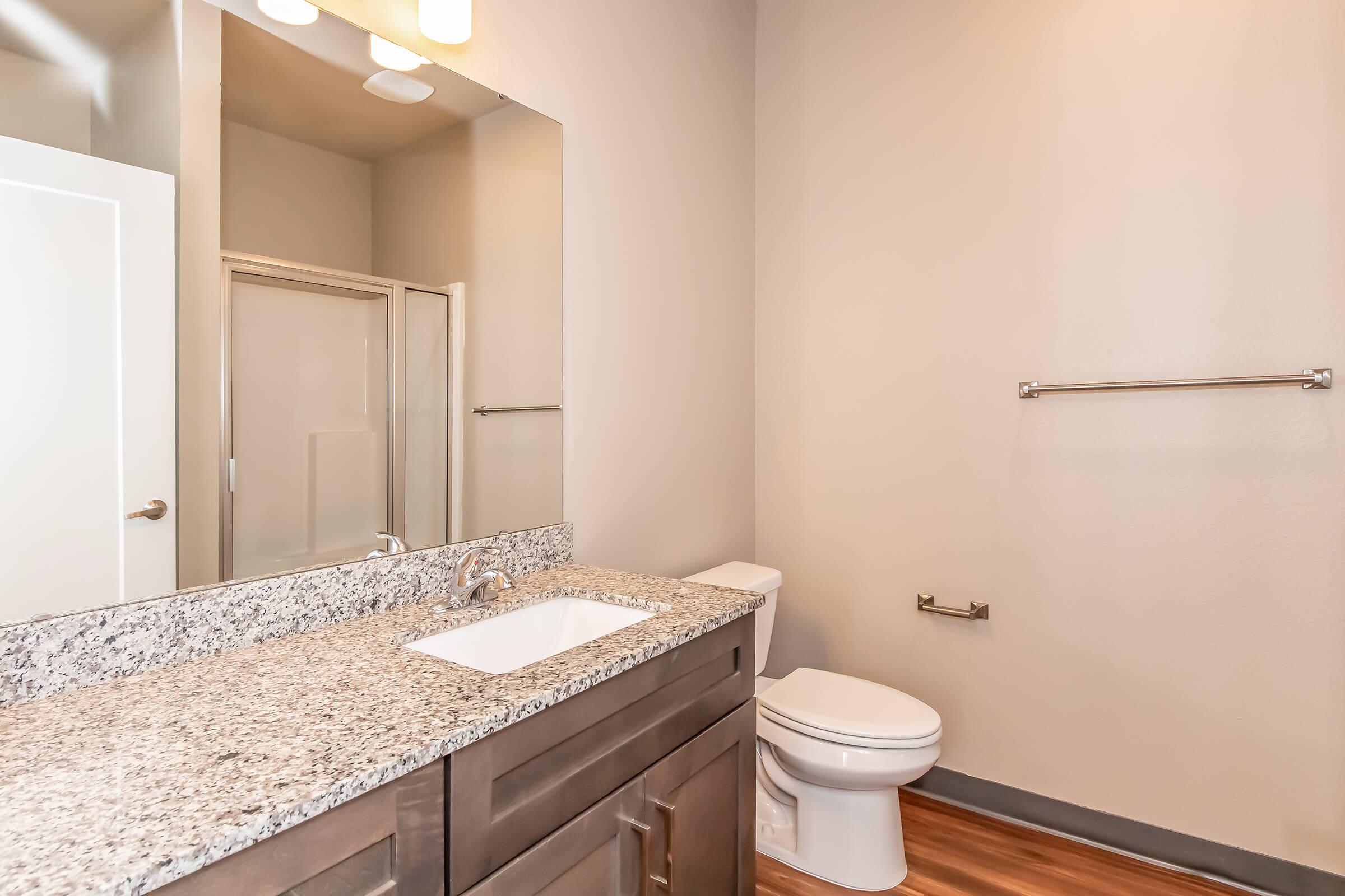A modern bathroom featuring a granite countertop with a sink, a large mirror above the sink, a toilet, and a walk-in shower. The walls are painted in a neutral tone, and the flooring has a wood-like appearance. Adequate lighting is provided by ceiling fixtures.