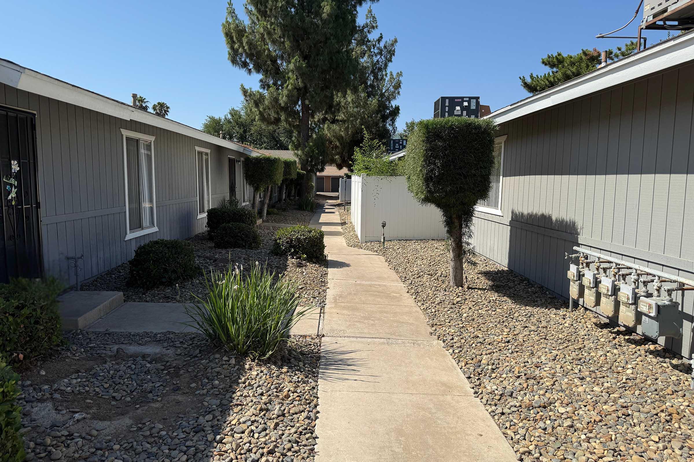 A narrow walkway lined with small shrubs and ornamental bushes, leading between two residential buildings. The pathway is paved with concrete and bordered by gravel. In the background, there are utility meters on the side of one building, and tall trees are visible against a clear blue sky.
