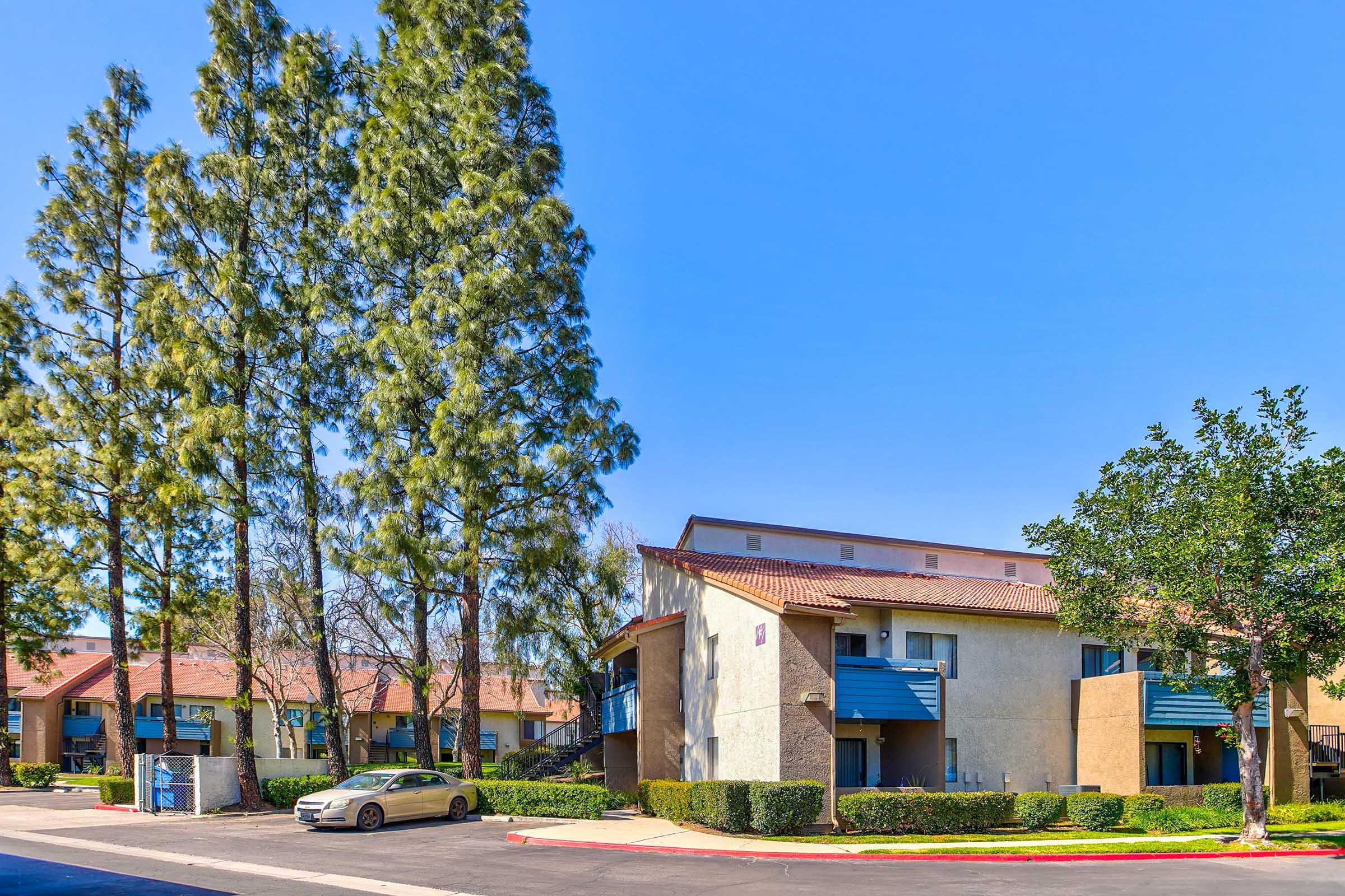 A residential apartment complex featuring two-story buildings with a mix of beige and blue accents. Tall trees line the pathway, providing shade. A parked car is visible nearby, and the clear blue sky indicates a sunny day. The setting appears well-maintained with manicured shrubs.