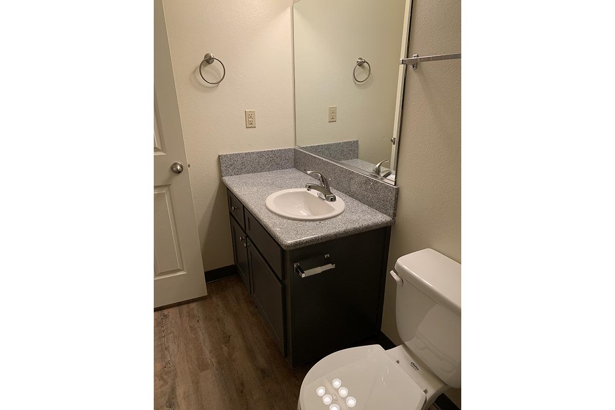 a white sink sitting under a mirror