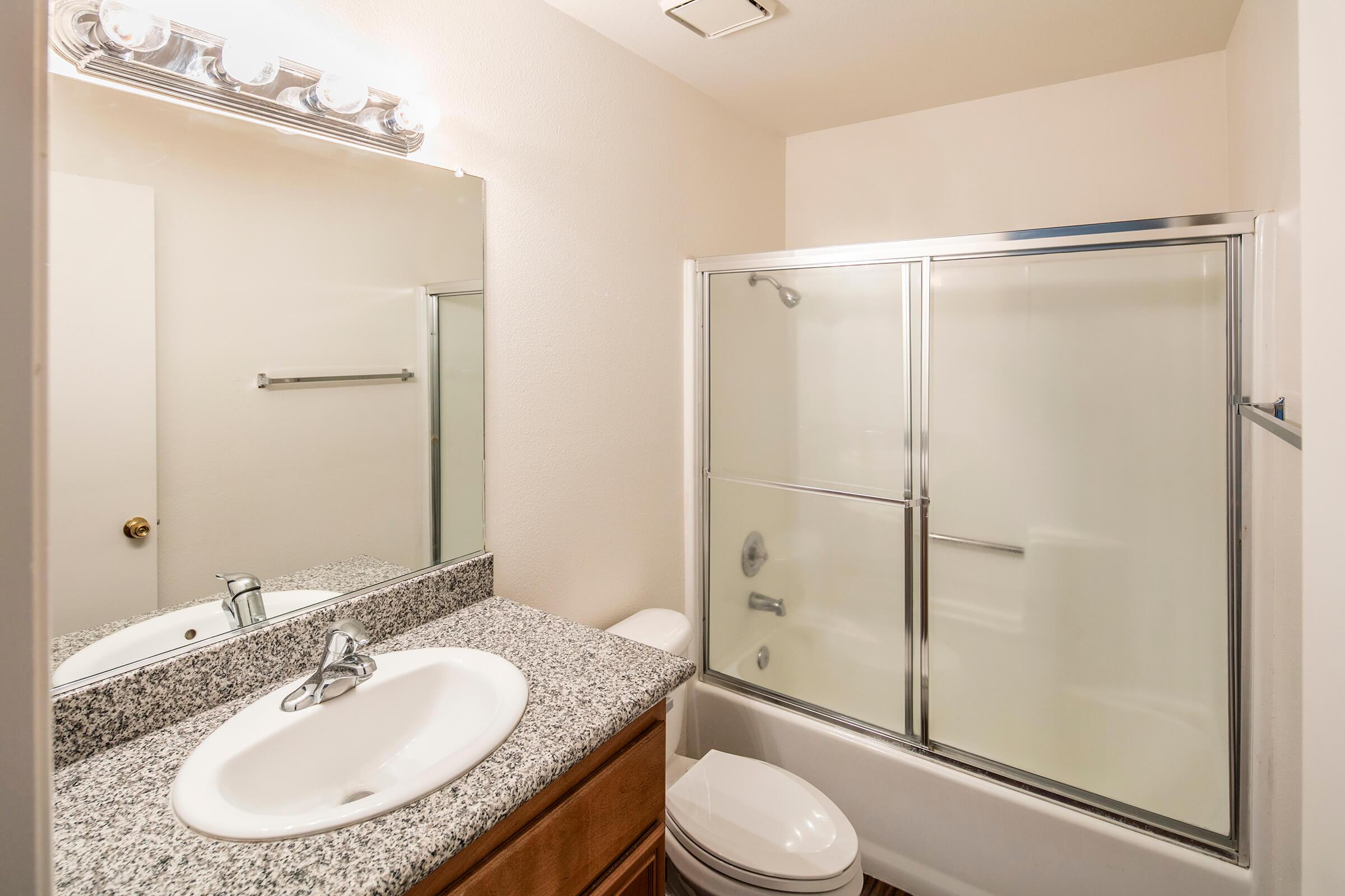 a shower that has a sink and a mirror