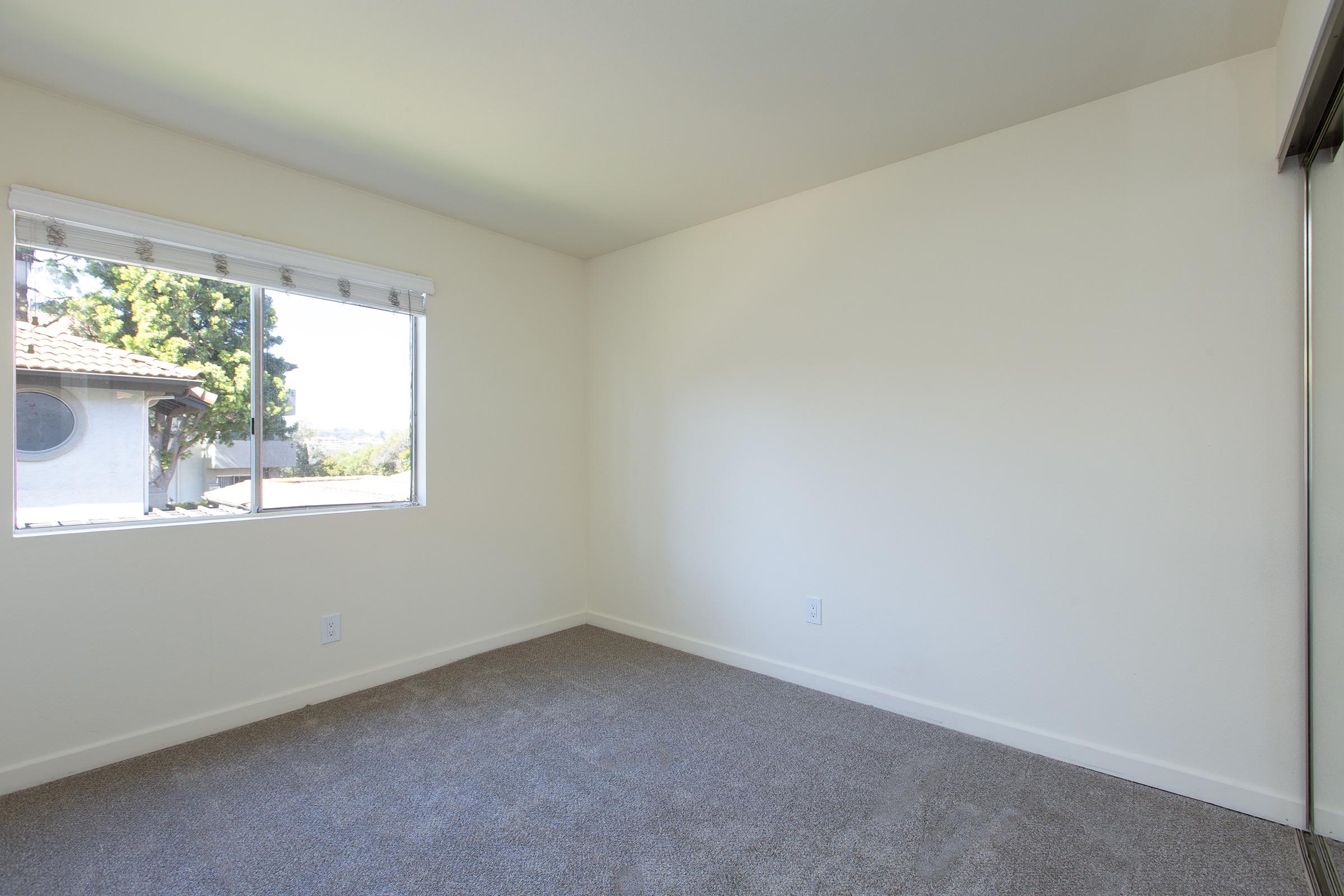 Empty room with light-colored walls, a large window allowing natural light, and beige carpeted flooring. There is a sliding closet door on one side, and the view outside shows greenery and a house. The overall atmosphere is bright and spacious.