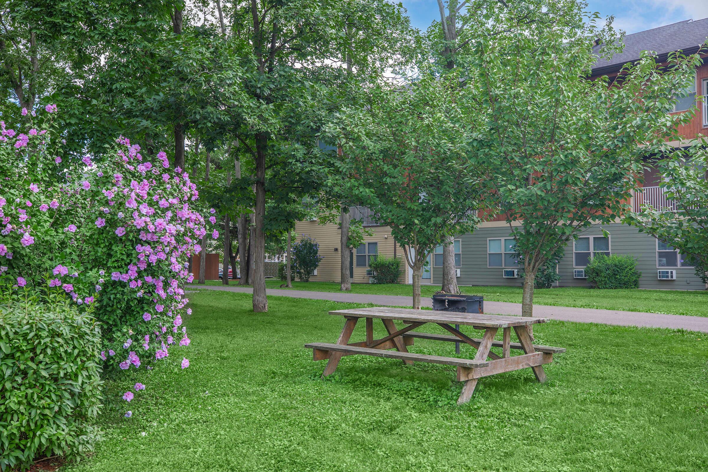 a bench in a park