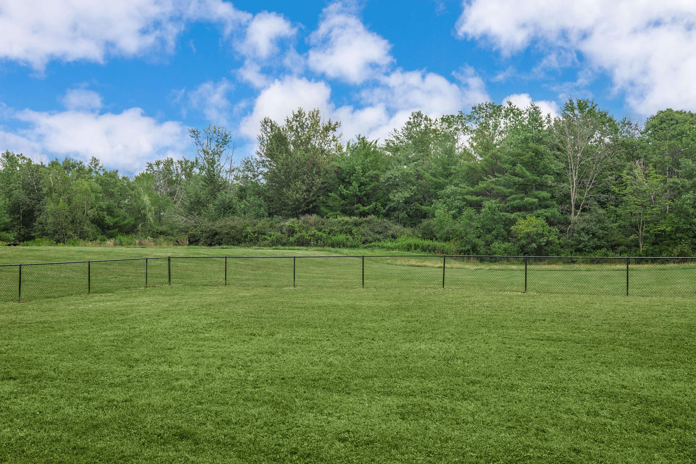 a close up of a lush green field