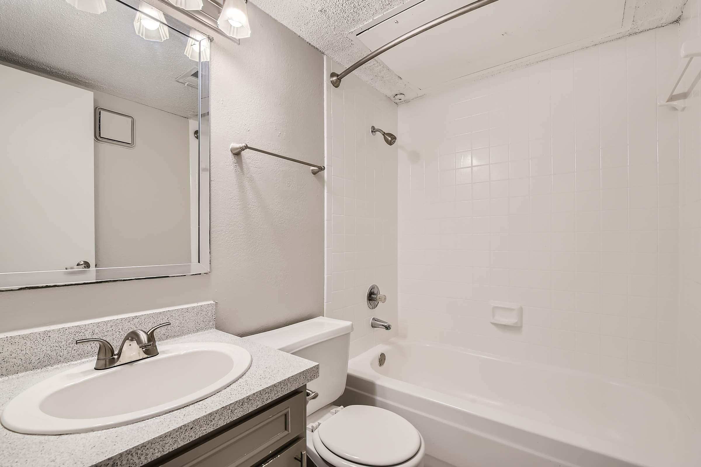 Bedford Lake bathroom with a sink, mirror, bathtub, and toilet