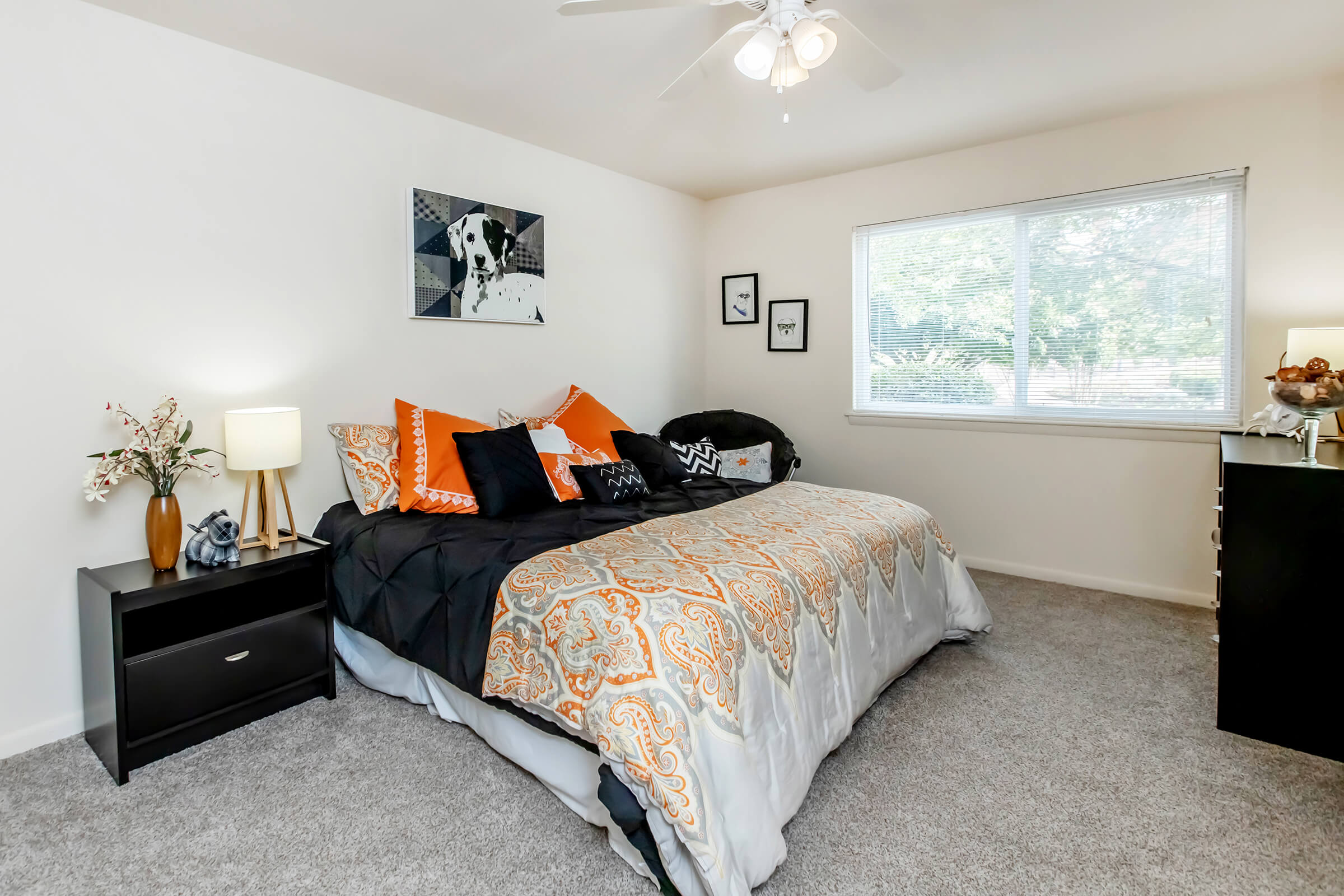 Apartment Features