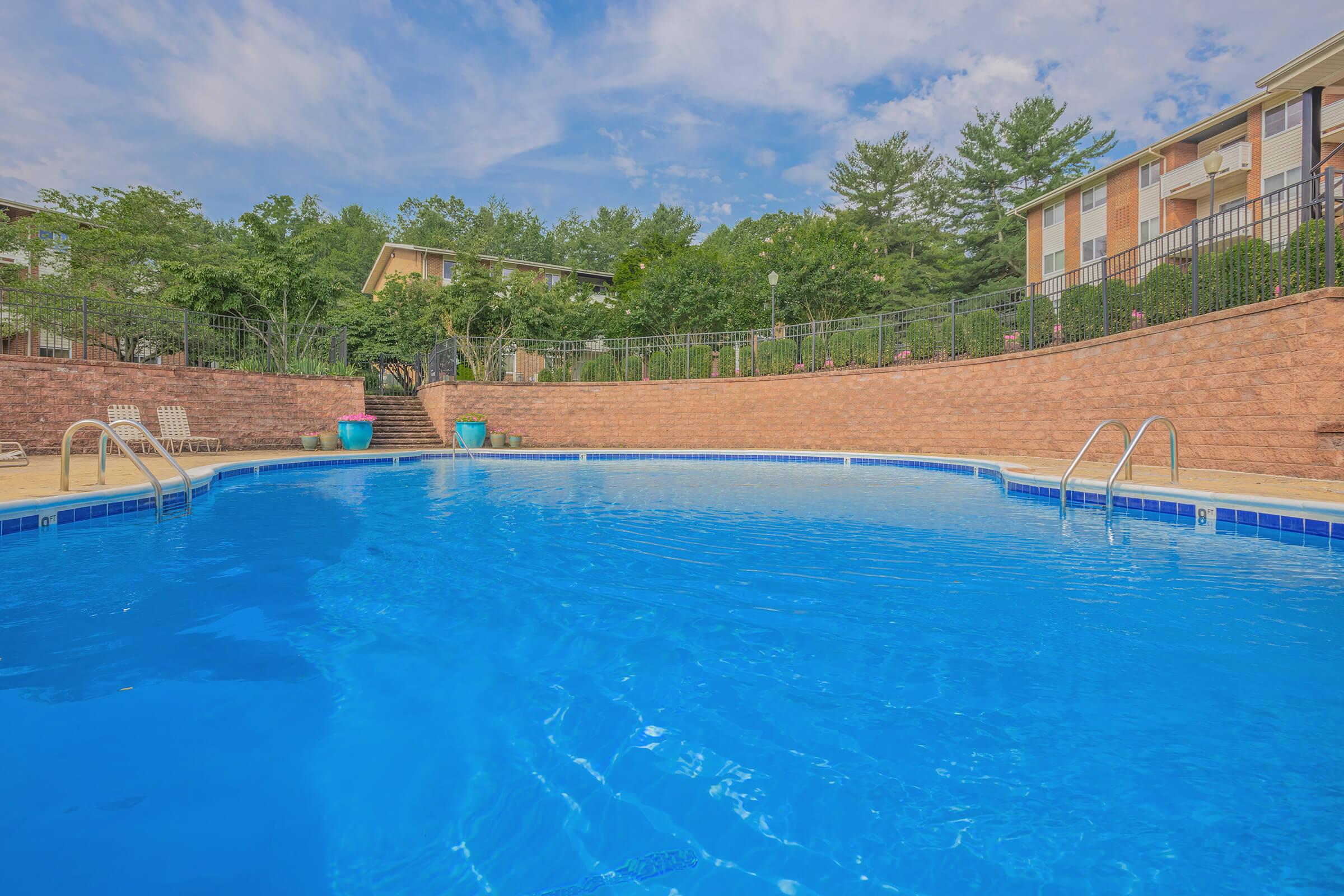 a group of people swimming in a pool of water