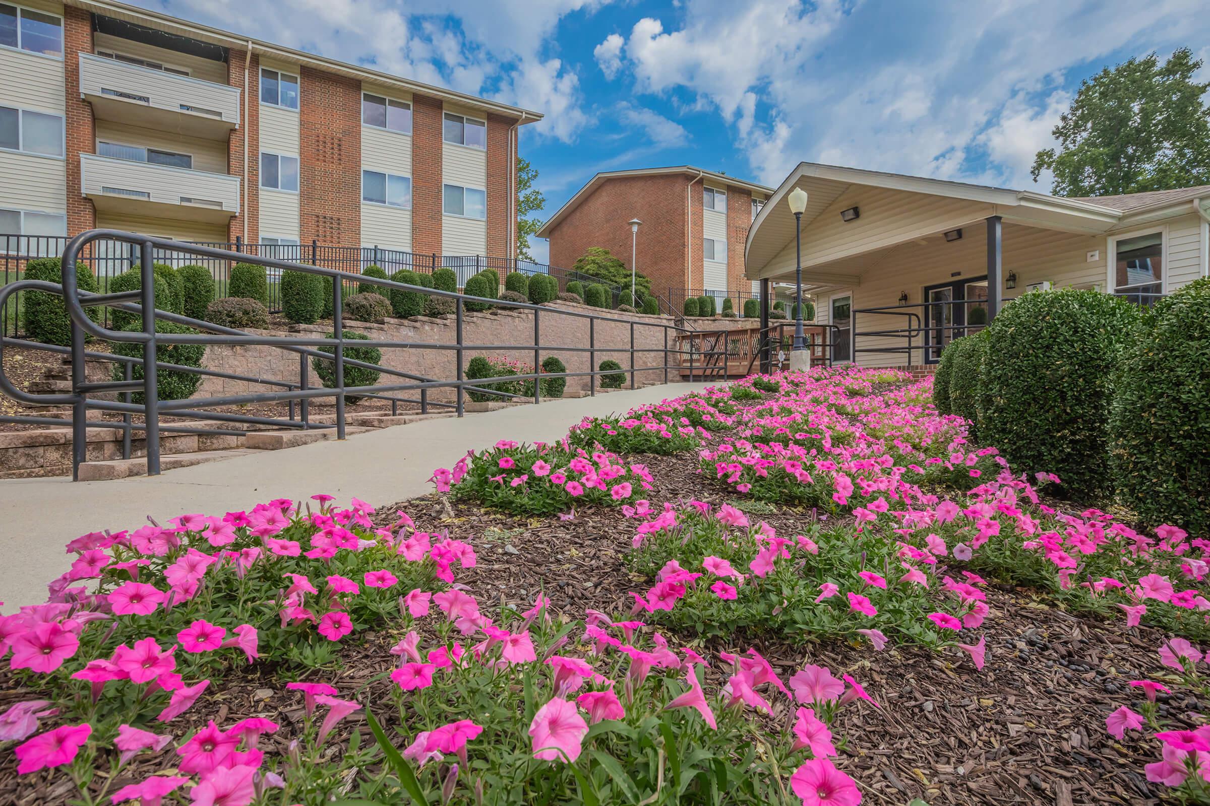 a close up of a flower garden in front of a brick building