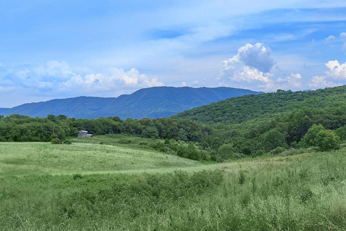 a large green field with a mountain in the background