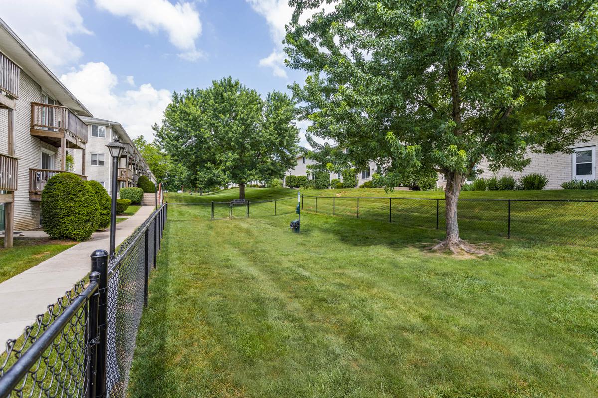 a house in the middle of a lush green field