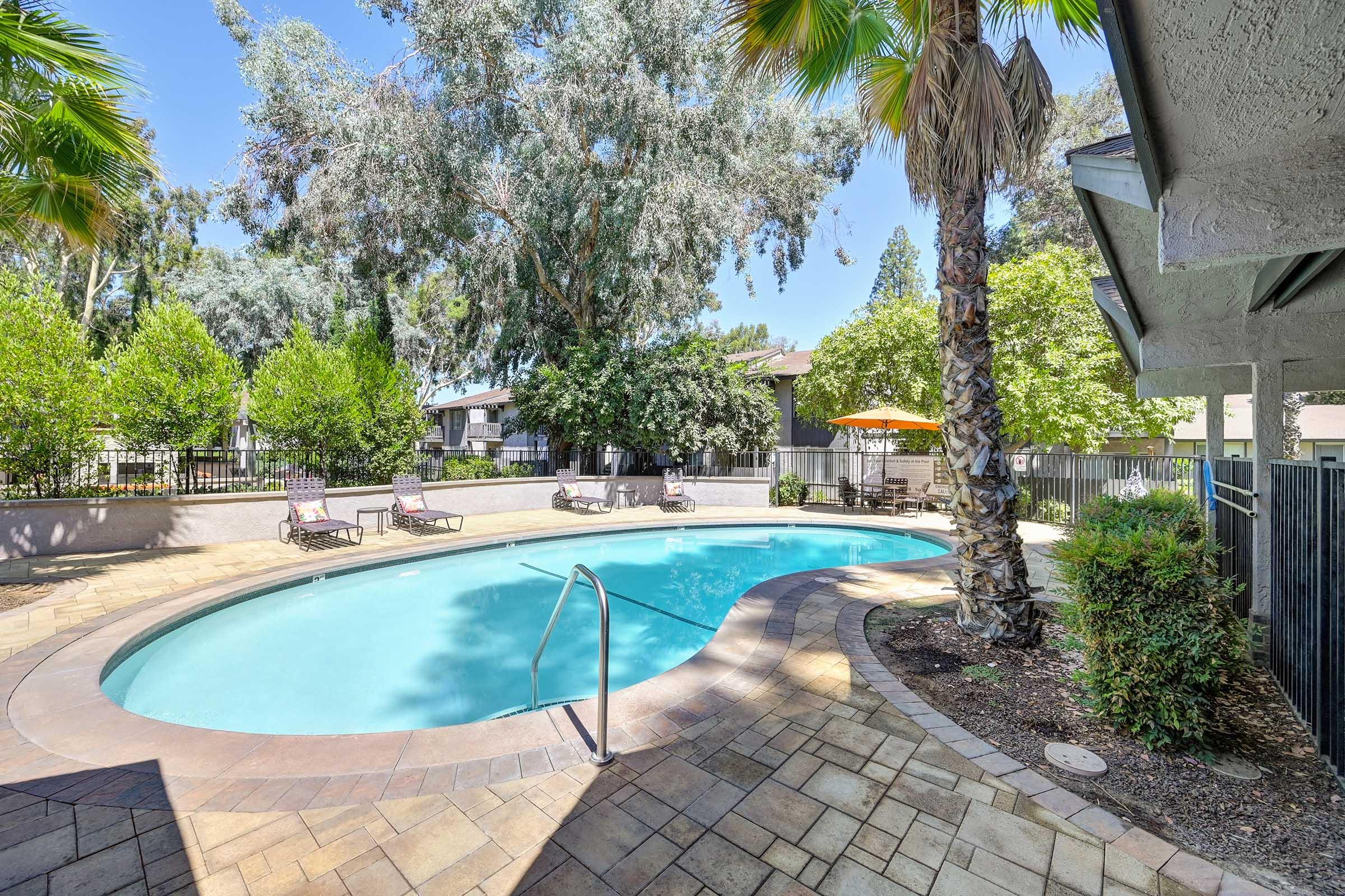 a pool next to a tree