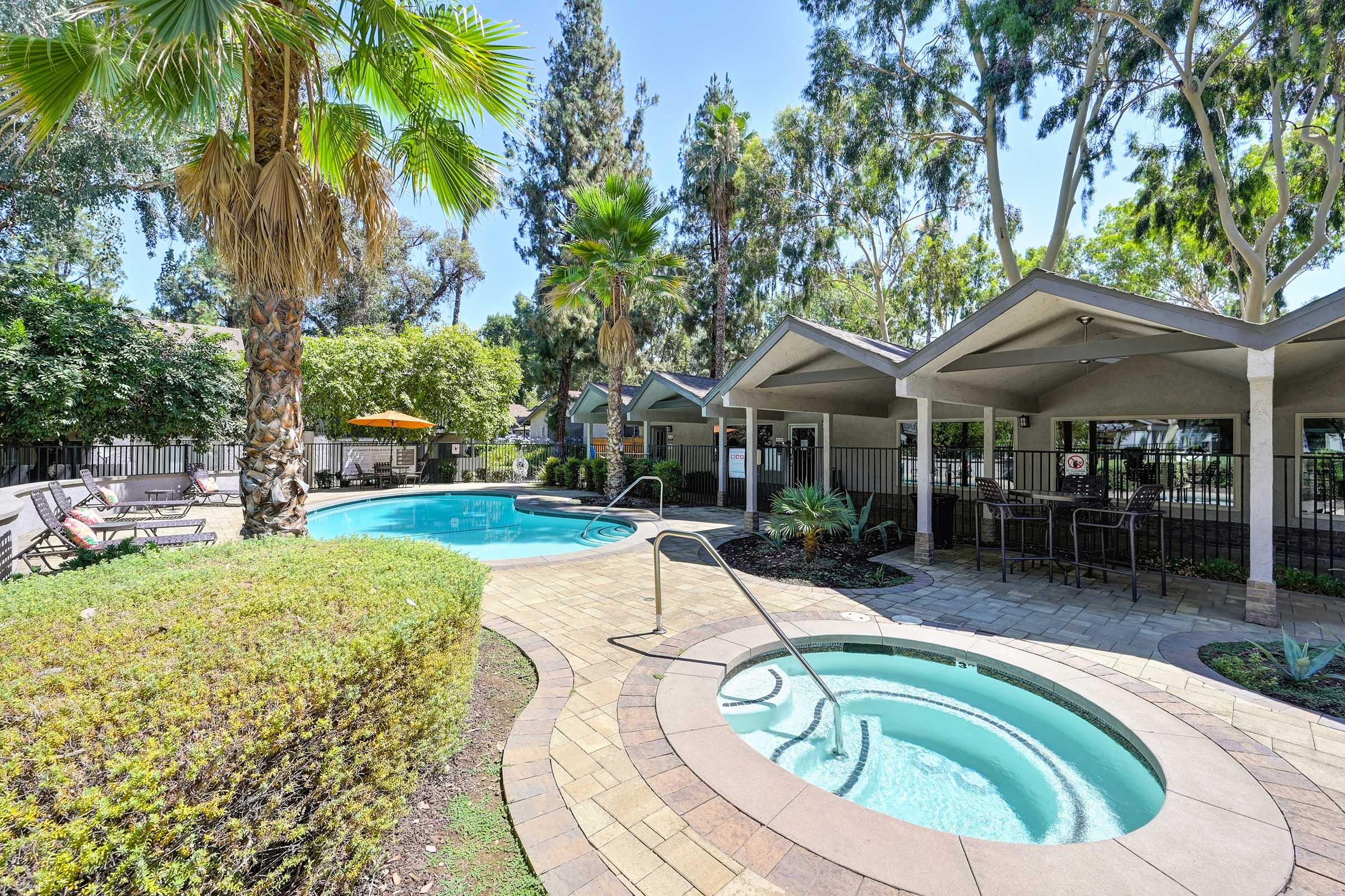 a bush next to a pool