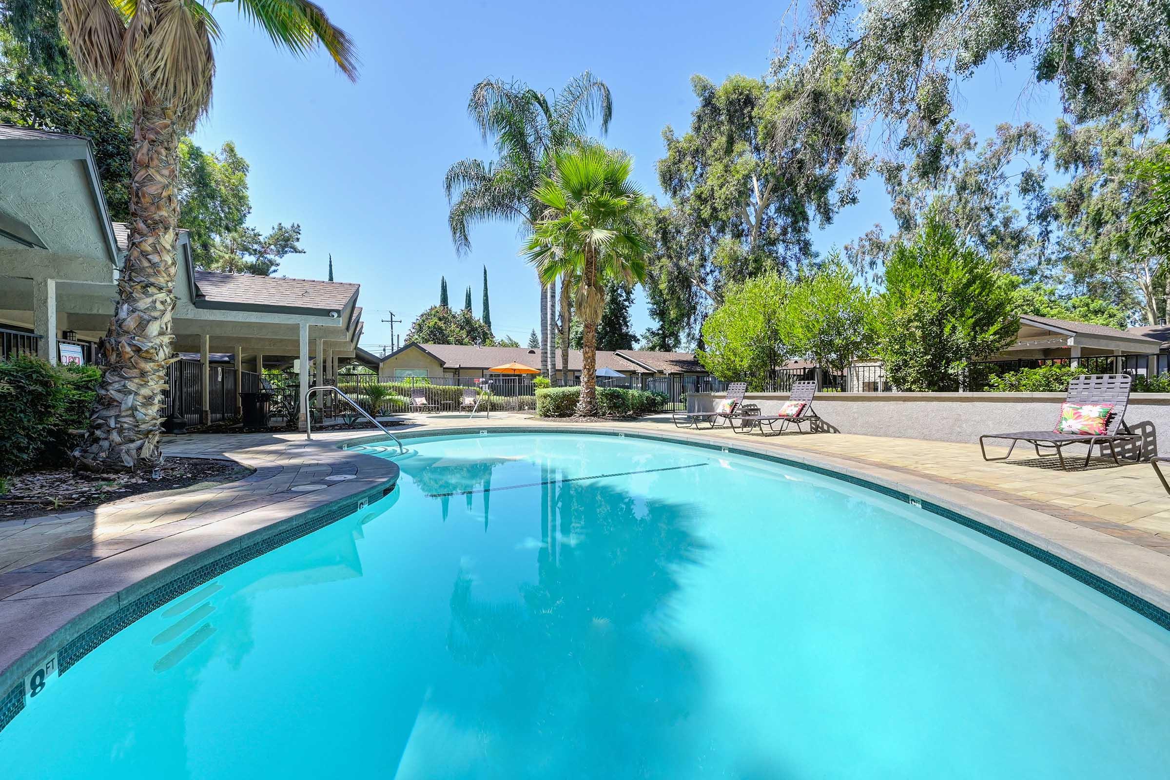 a large pool with palm trees