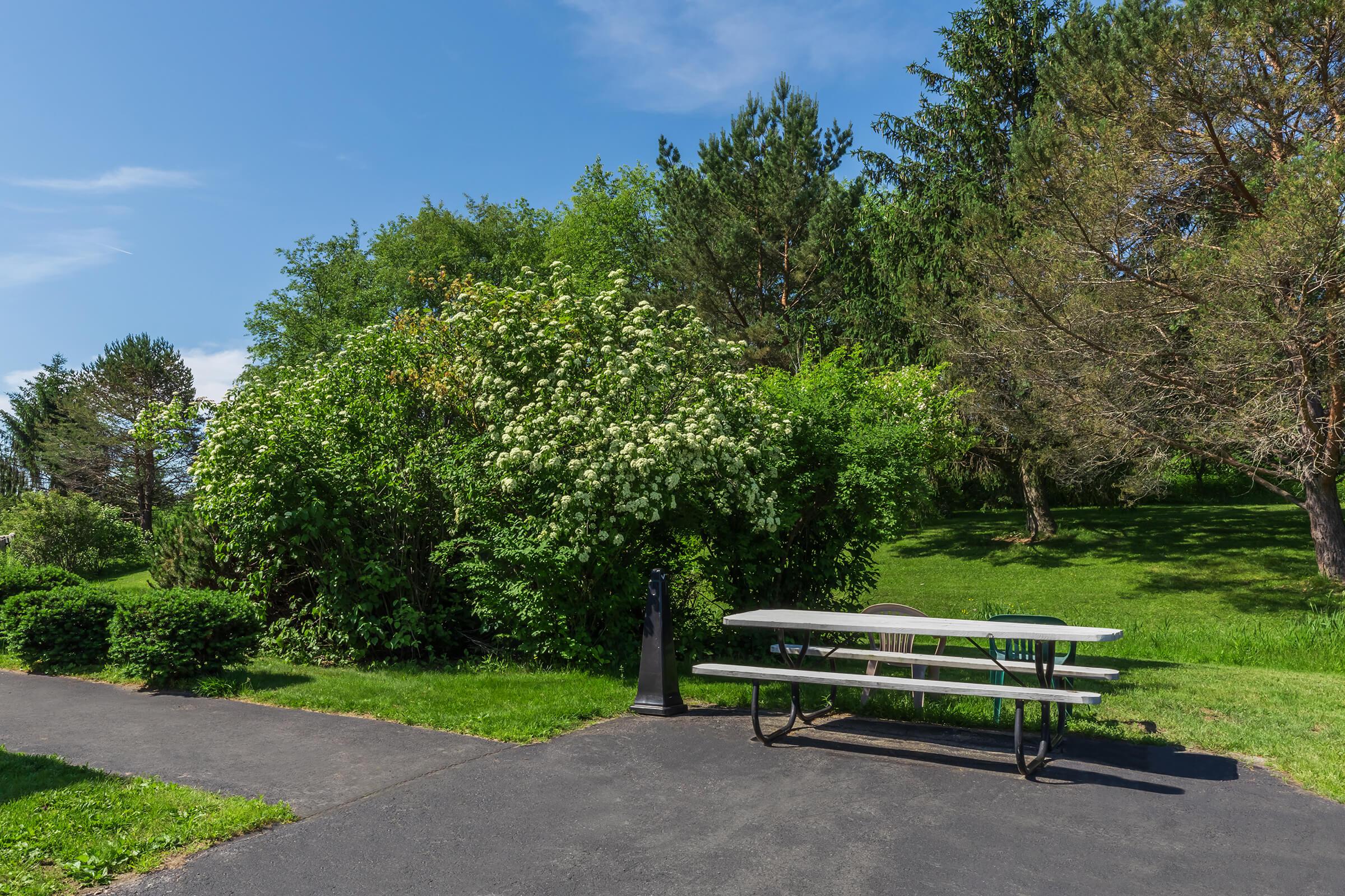 an empty park bench next to a tree