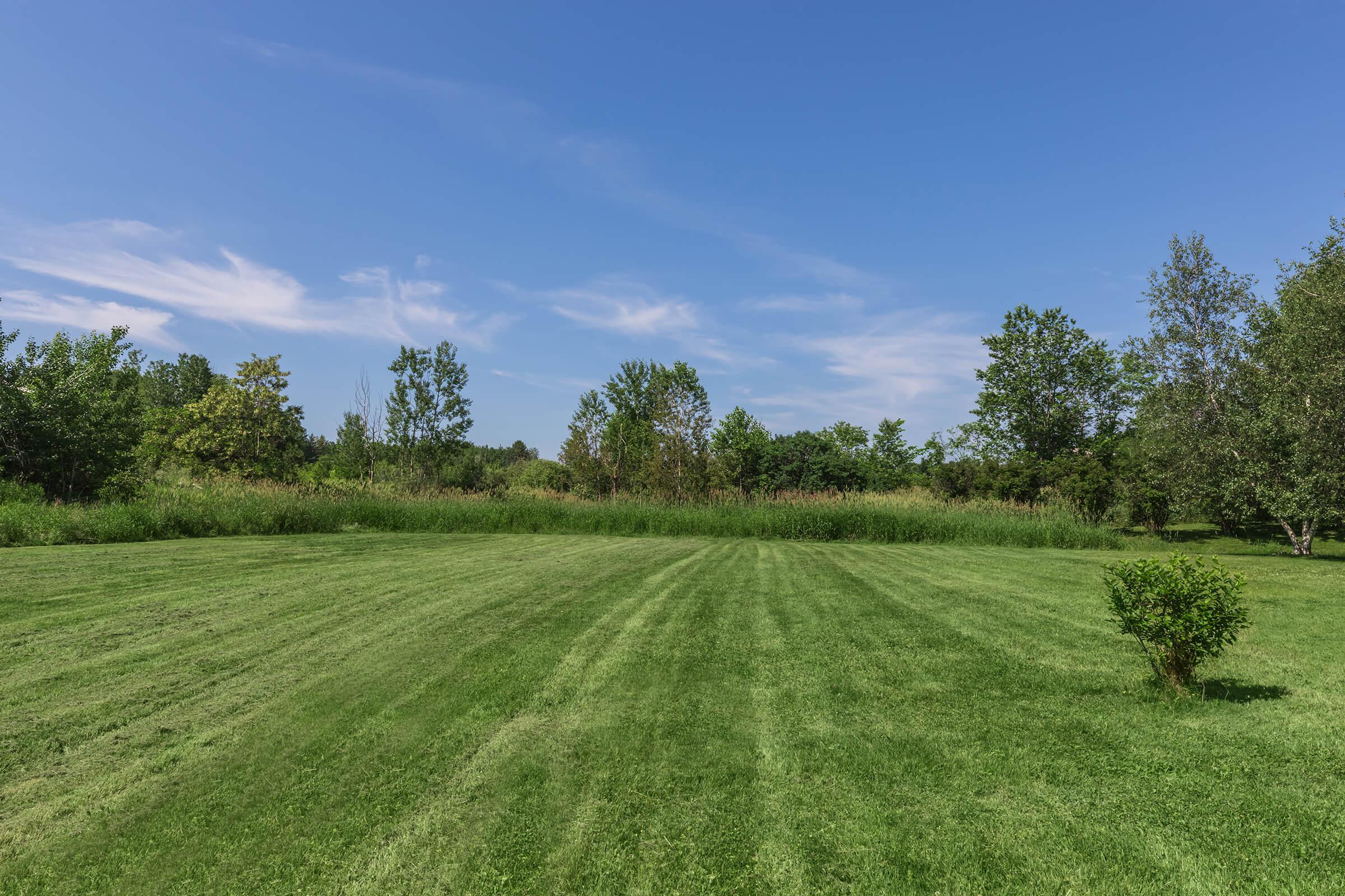 a large green field with trees in the background