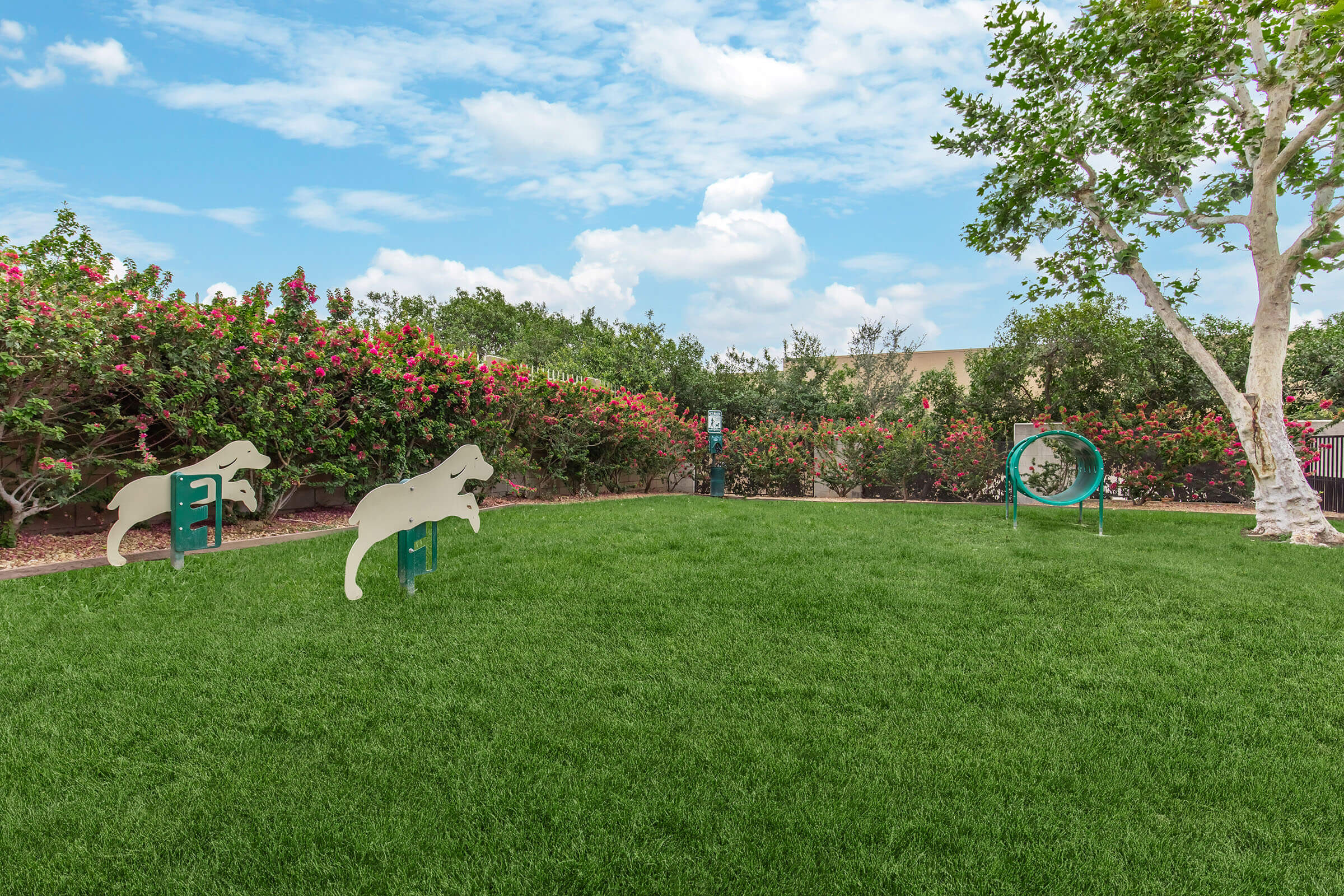 A grassy outdoor area featuring dog agility equipment, including two silhouette dog jump obstacles and a hoop. The background consists of vibrant flowering bushes and a clear blue sky, creating a pleasant and inviting environment for pets.