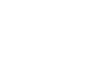 Apex ebrochure logo